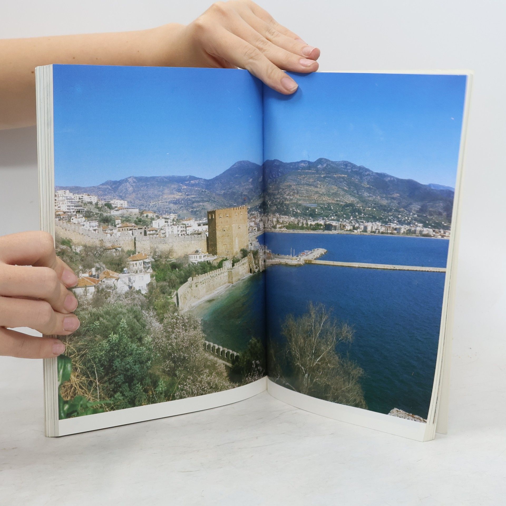 Hasim Yetkin Alanya