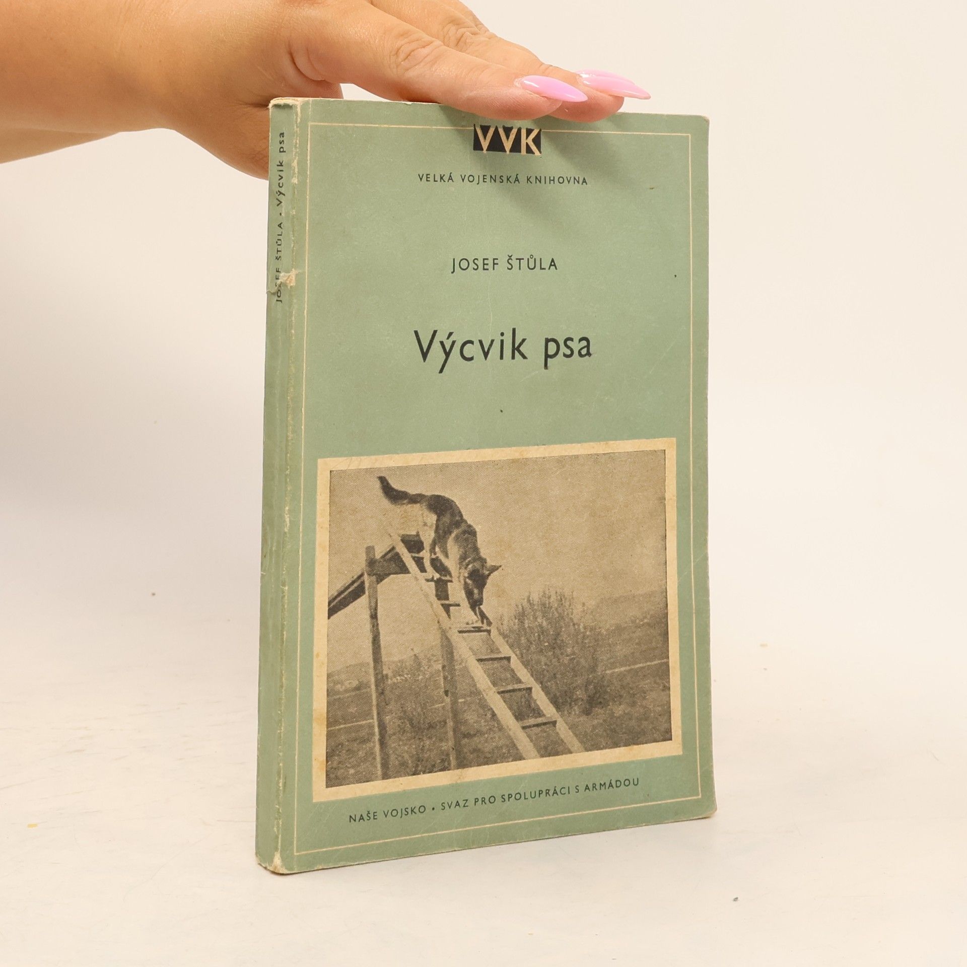Josef Štůla Výcvik psa