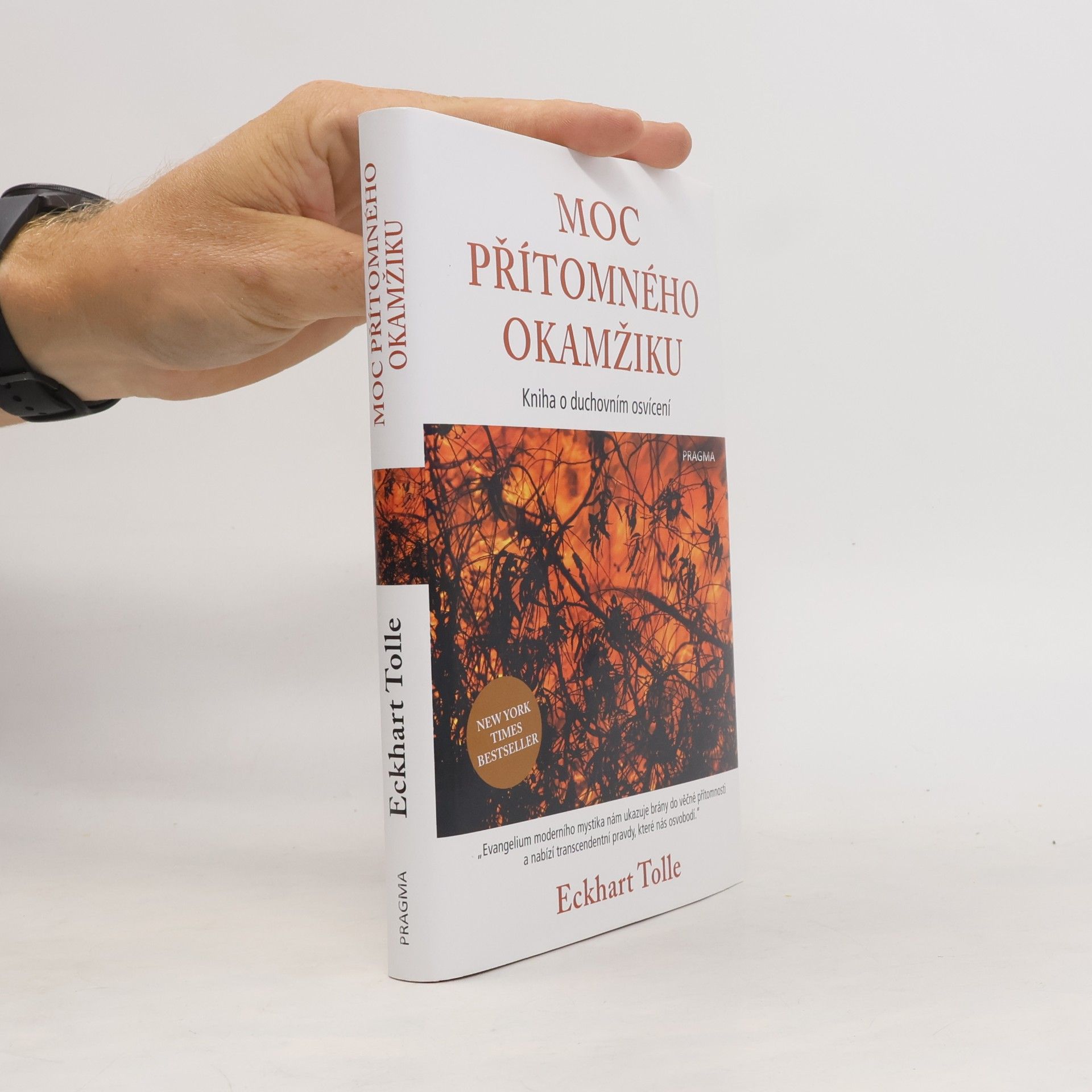 Eckhart Tolle Moc přítomného okamžiku