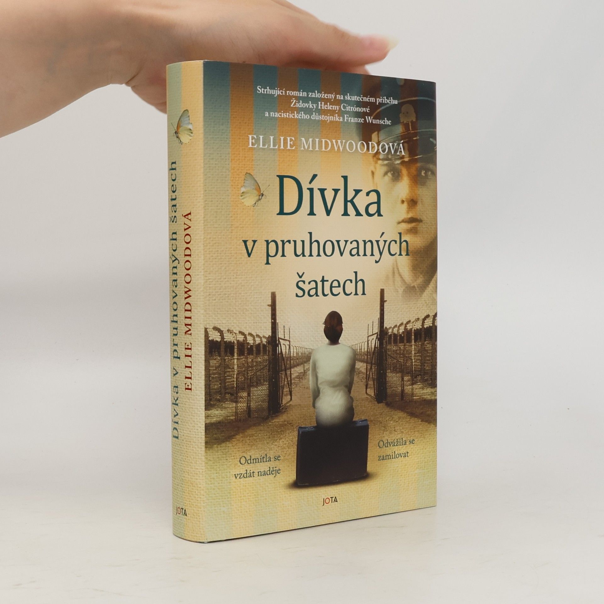 Ellie Midwood Dívka v pruhovaných šatech