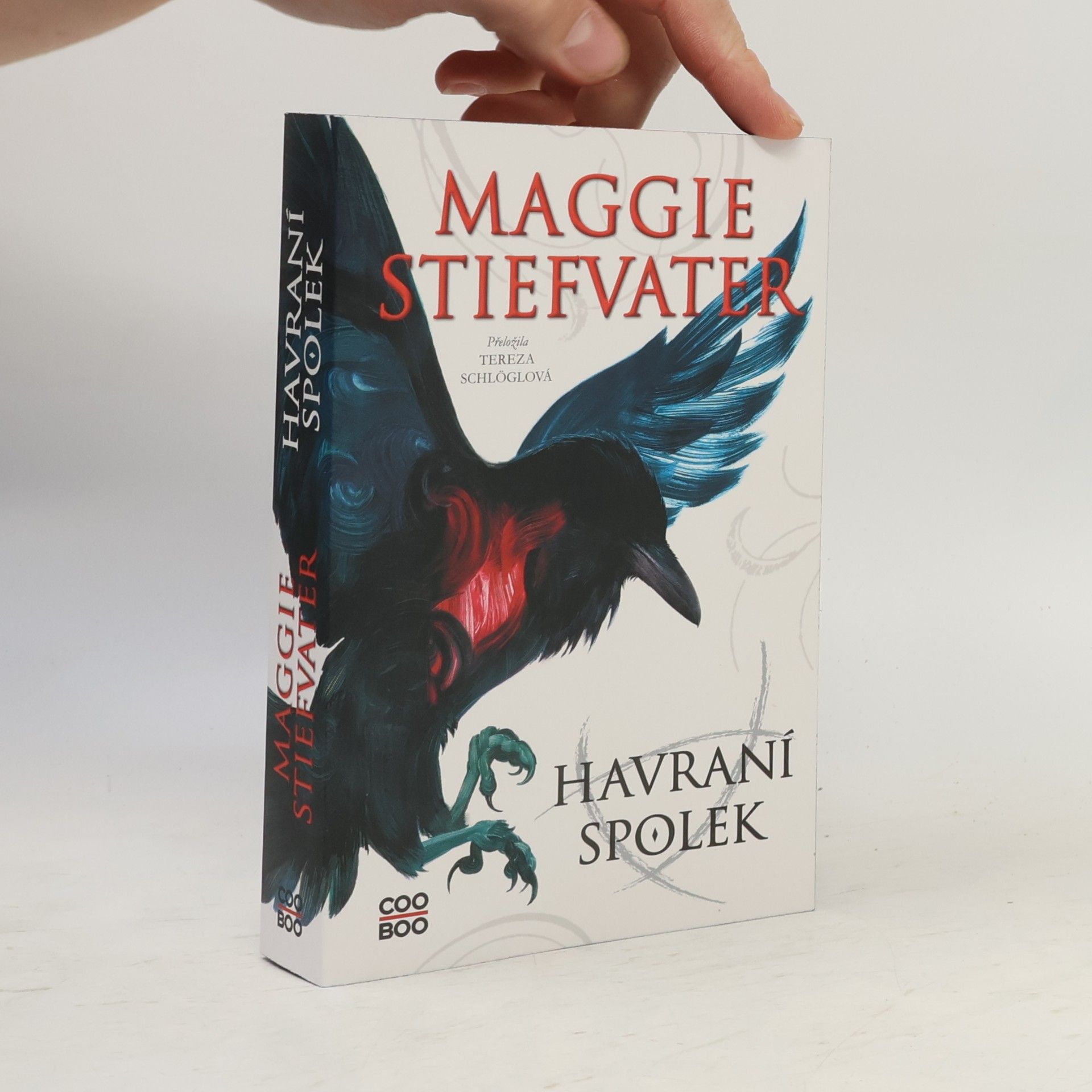 Maggie Stiefvater Havraní spolek