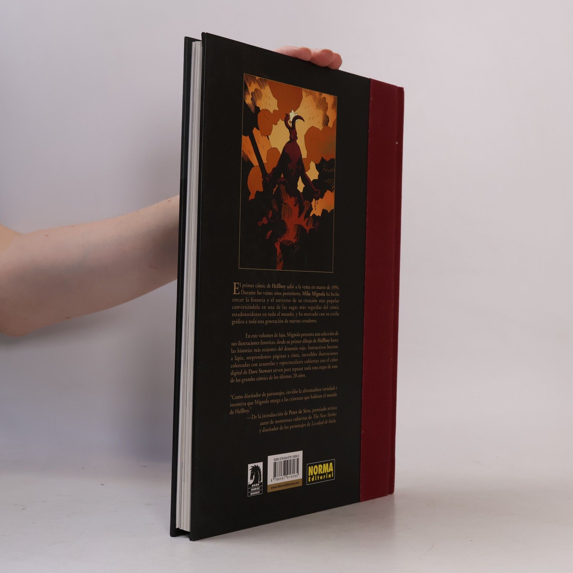 Mike Mignola Hellboy. Los primeros 20 anos