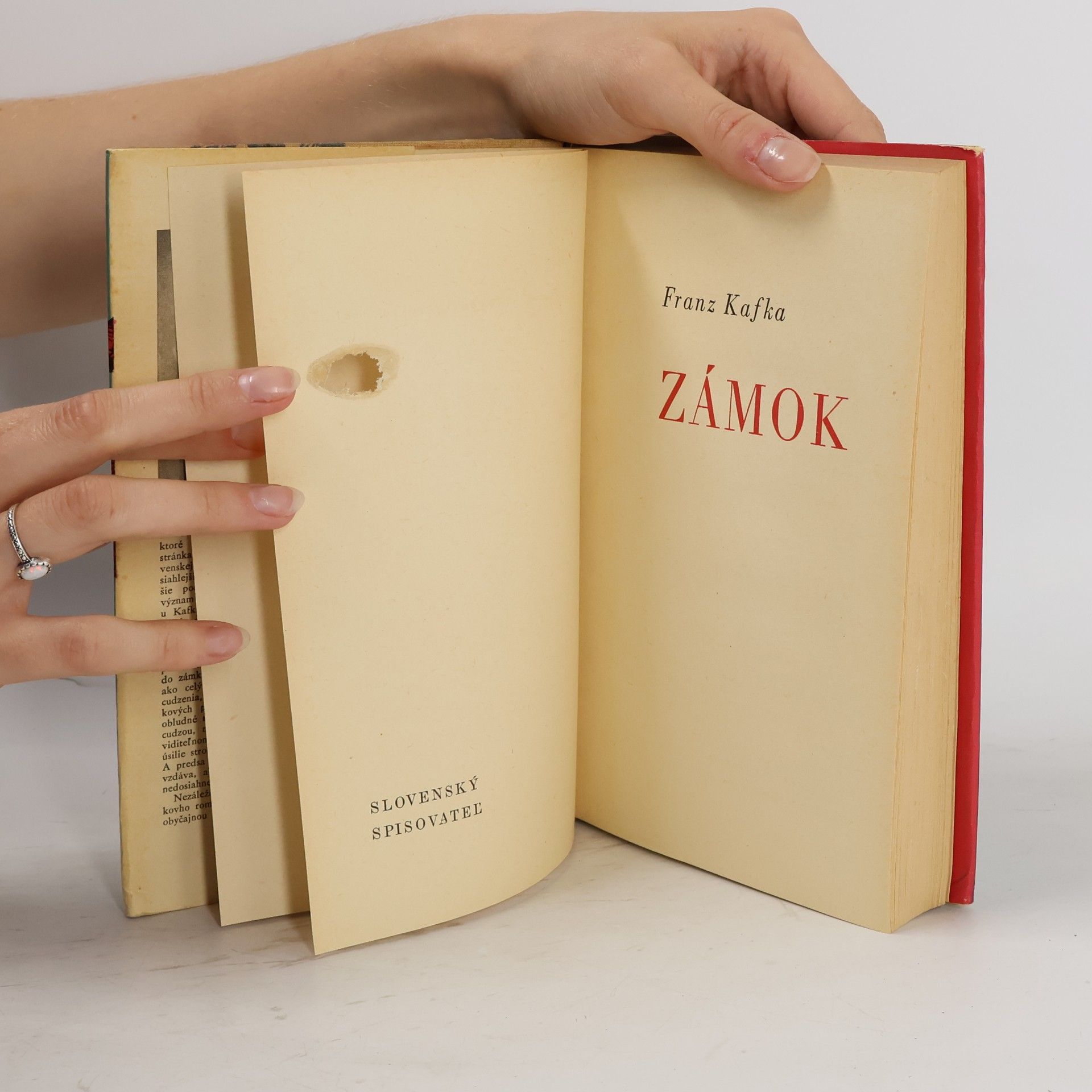 Franz Kafka Zámok