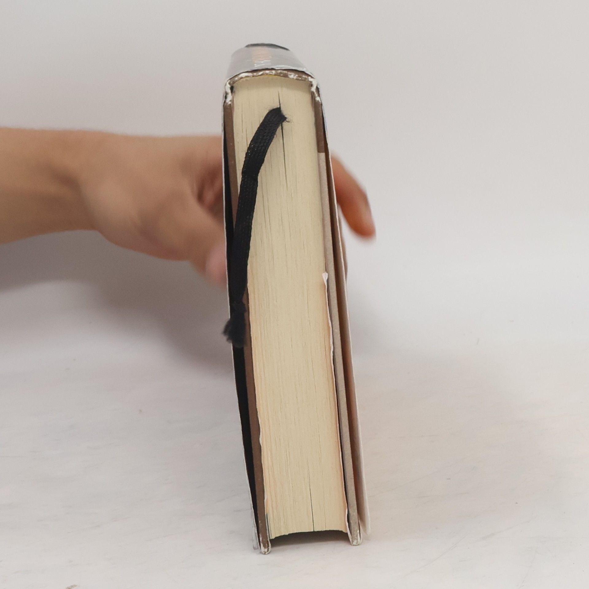 Matt Haig Poslední rodina v Anglii