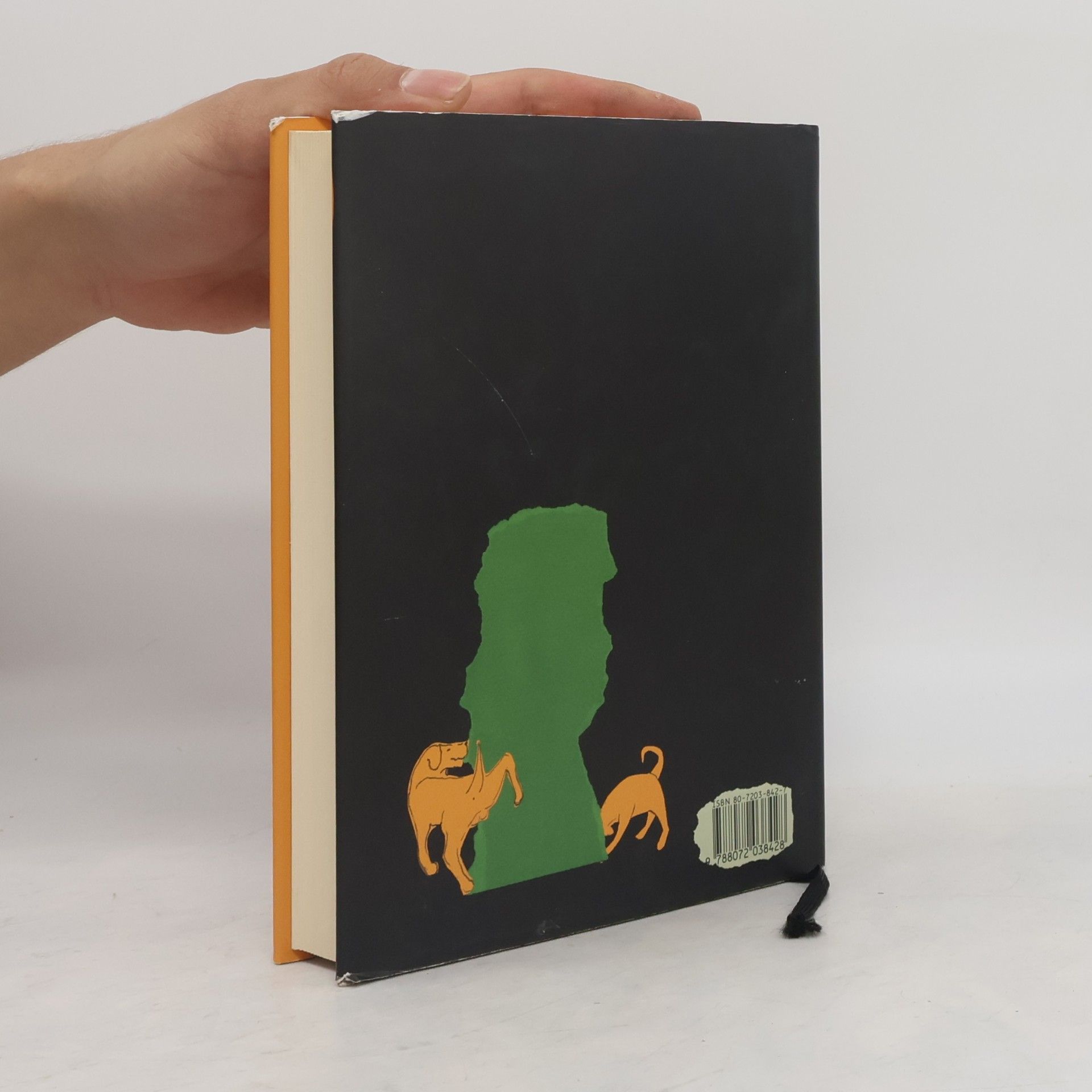 Matt Haig Poslední rodina v Anglii