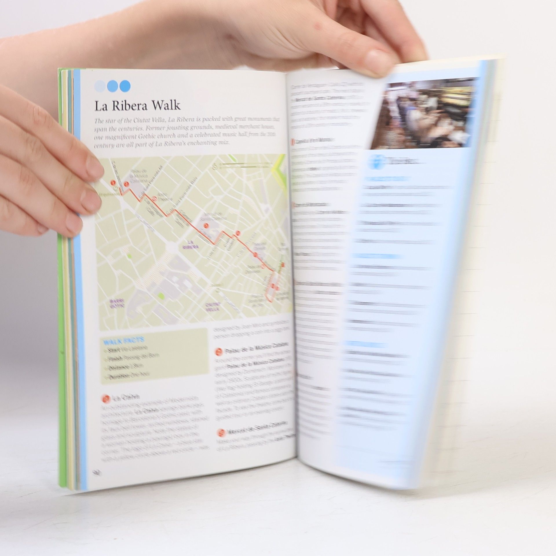 Regis St. Louis Lonely Planet: Discover Barcelona