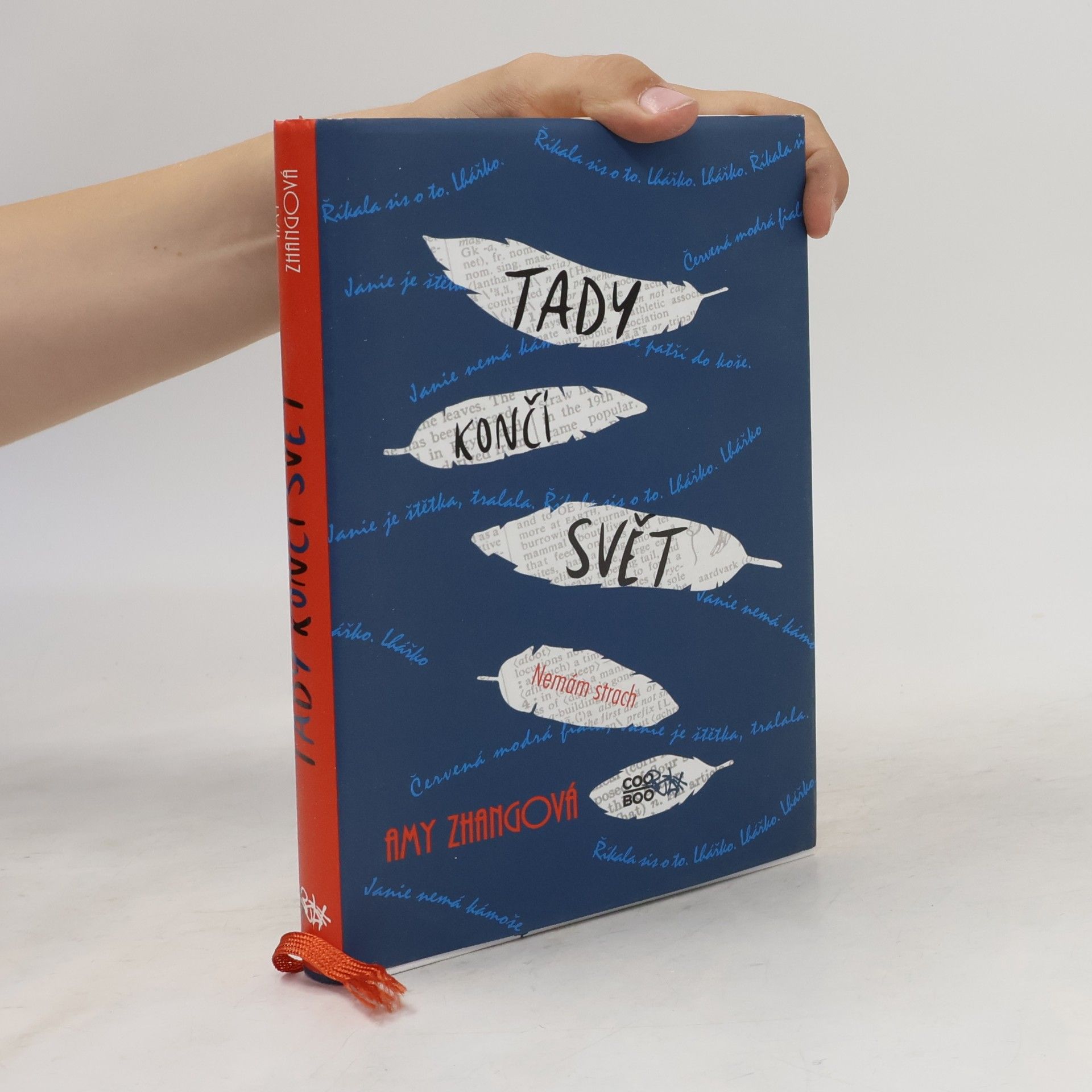 Amy Zhang Tady končí svět