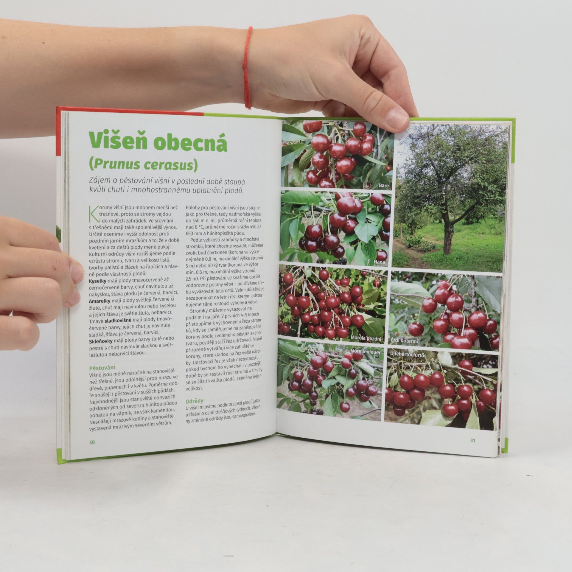 Autores varios Ovocné stromy
