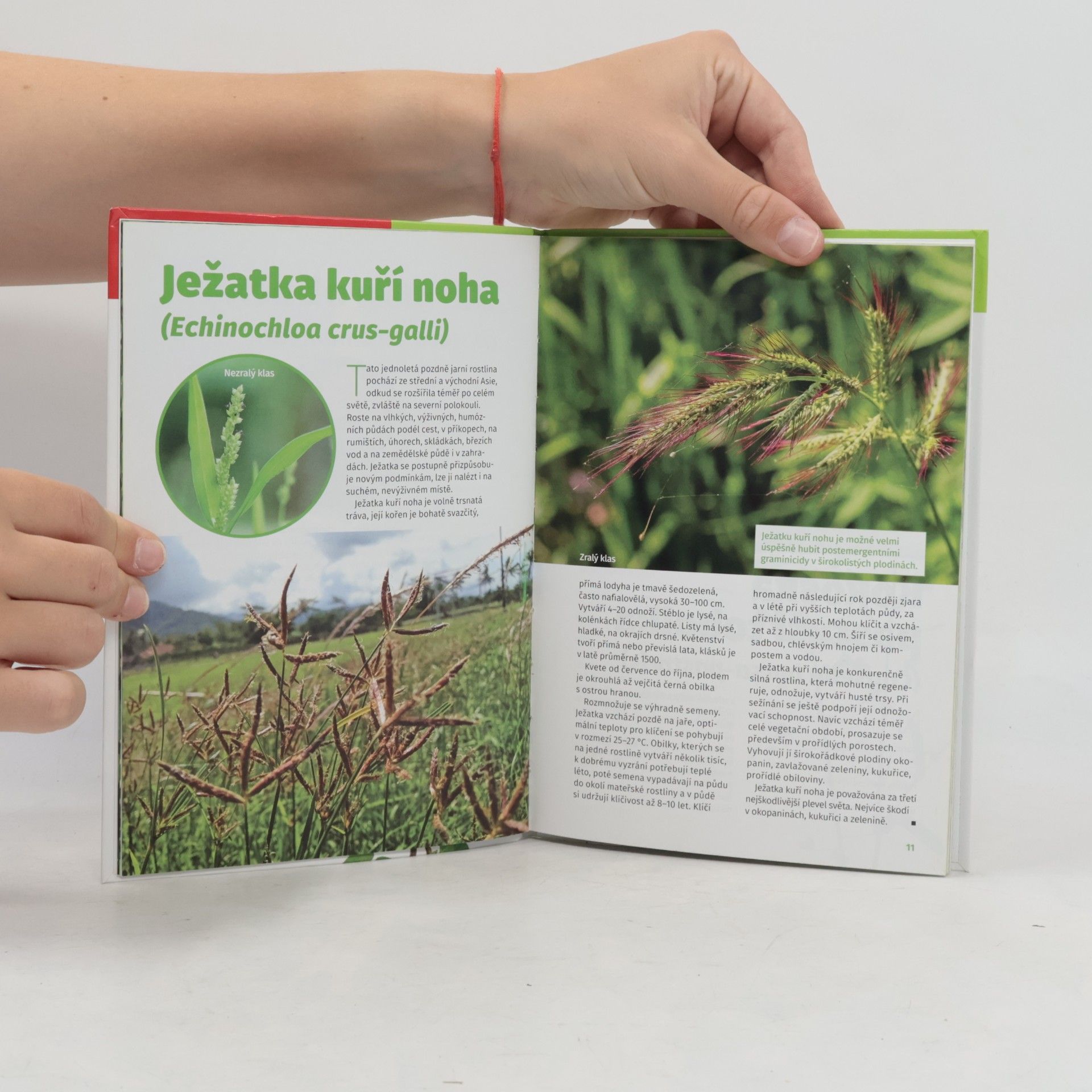 Miloš Kučera Atlas plevelů