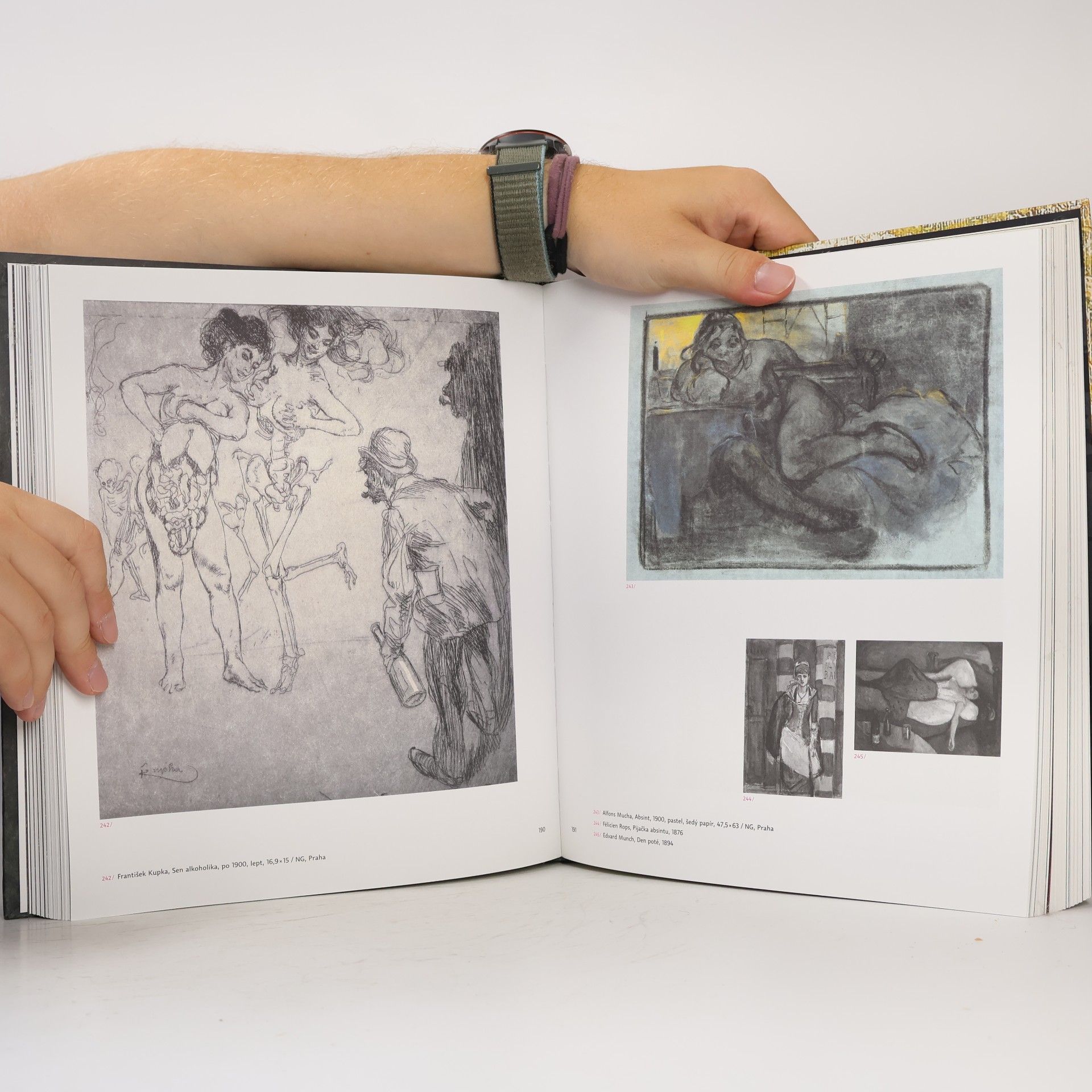 Autorenkollektiv Dekadence: V barvách chorobných. Idea dekadence a umění v českých zemích 1880-1914
