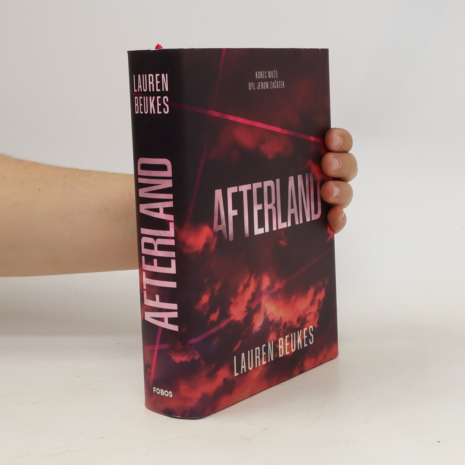 Lauren Beukes Afterland