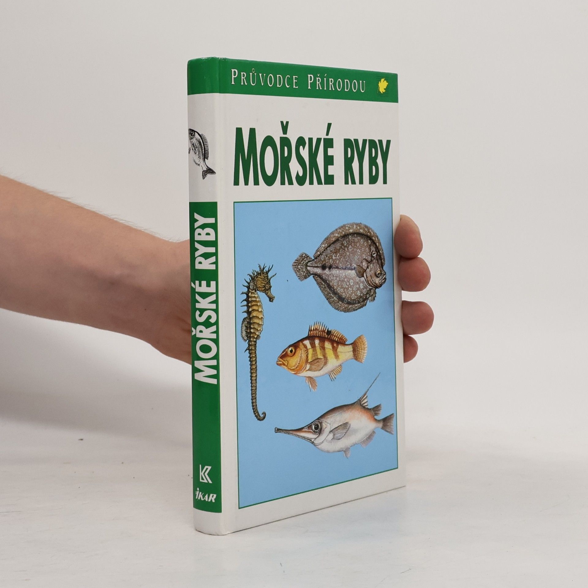 Frieder Sauer Mořské ryby v evropských vodách
