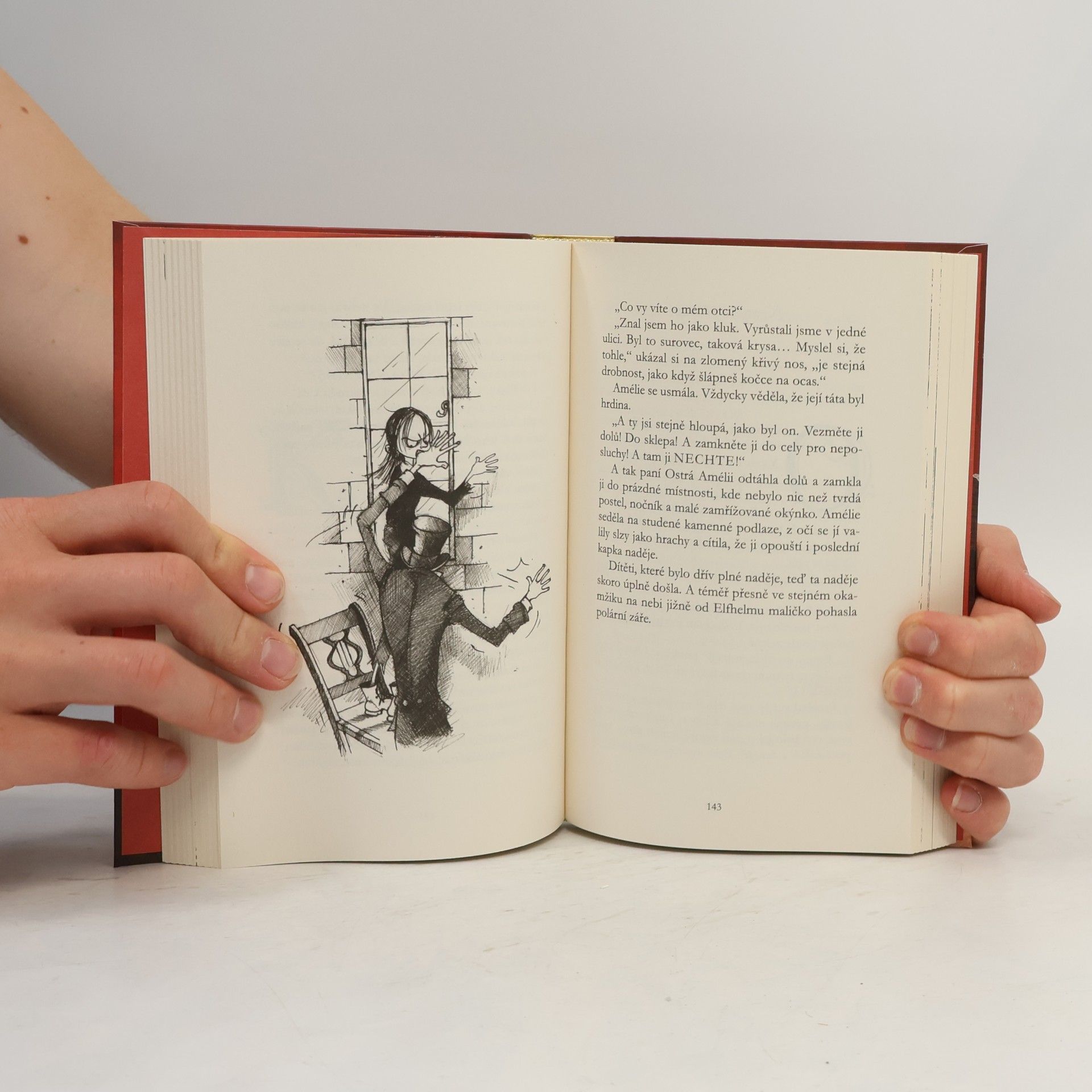 Matt Haig Holka, která zachránila Vánoce