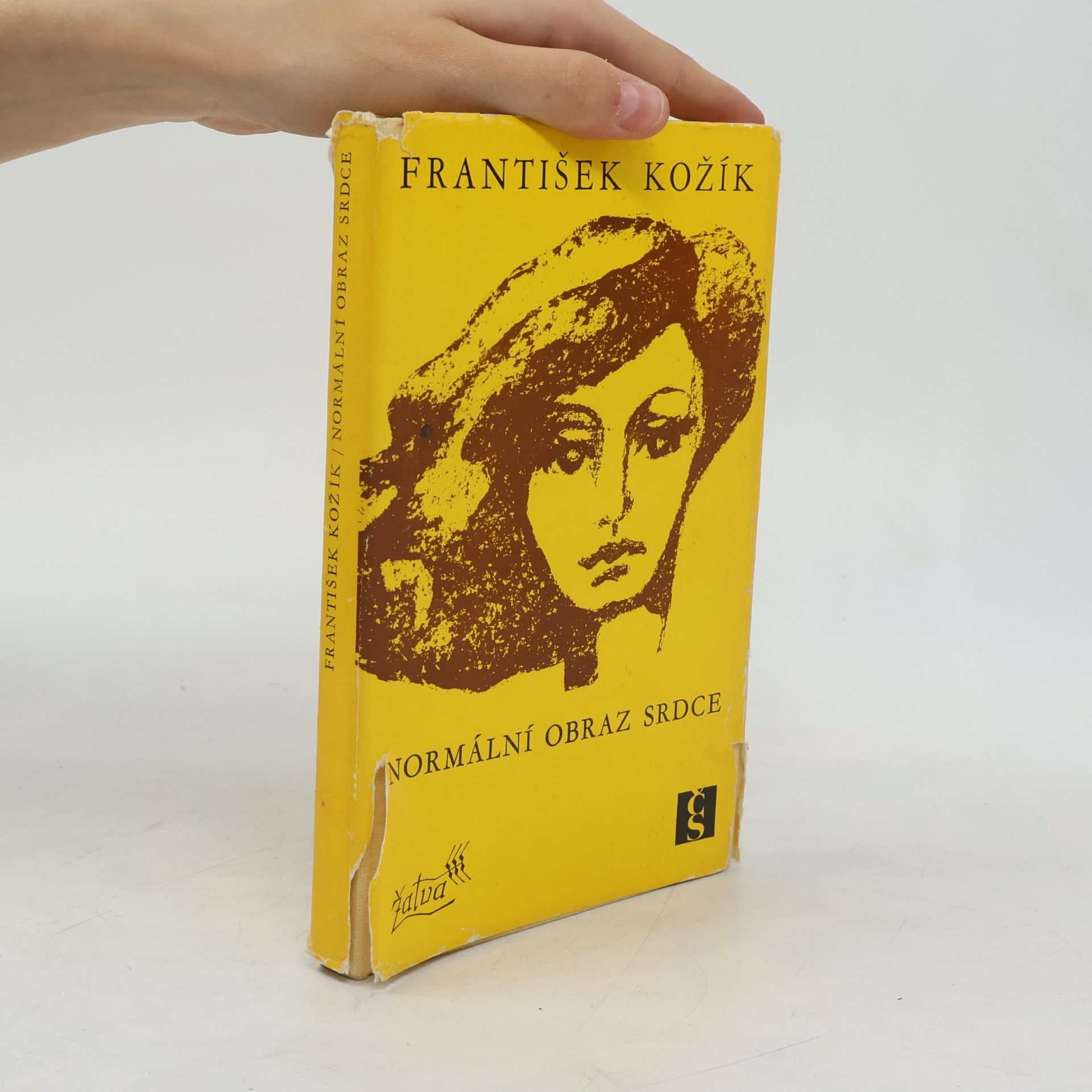 František Kožík Normální obraz srdce