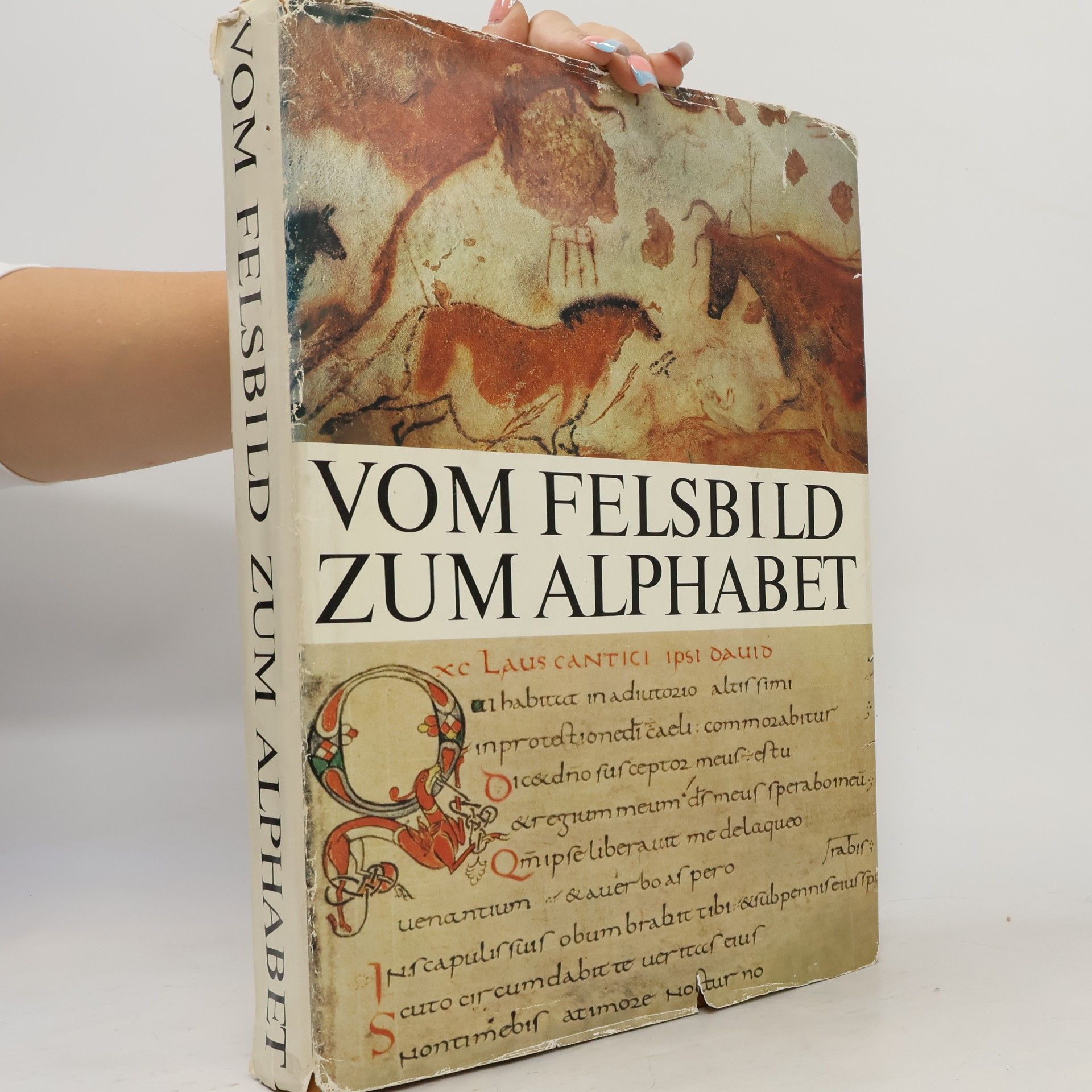 Károly Földes-Papp Vom Felsbild zum Alphabet