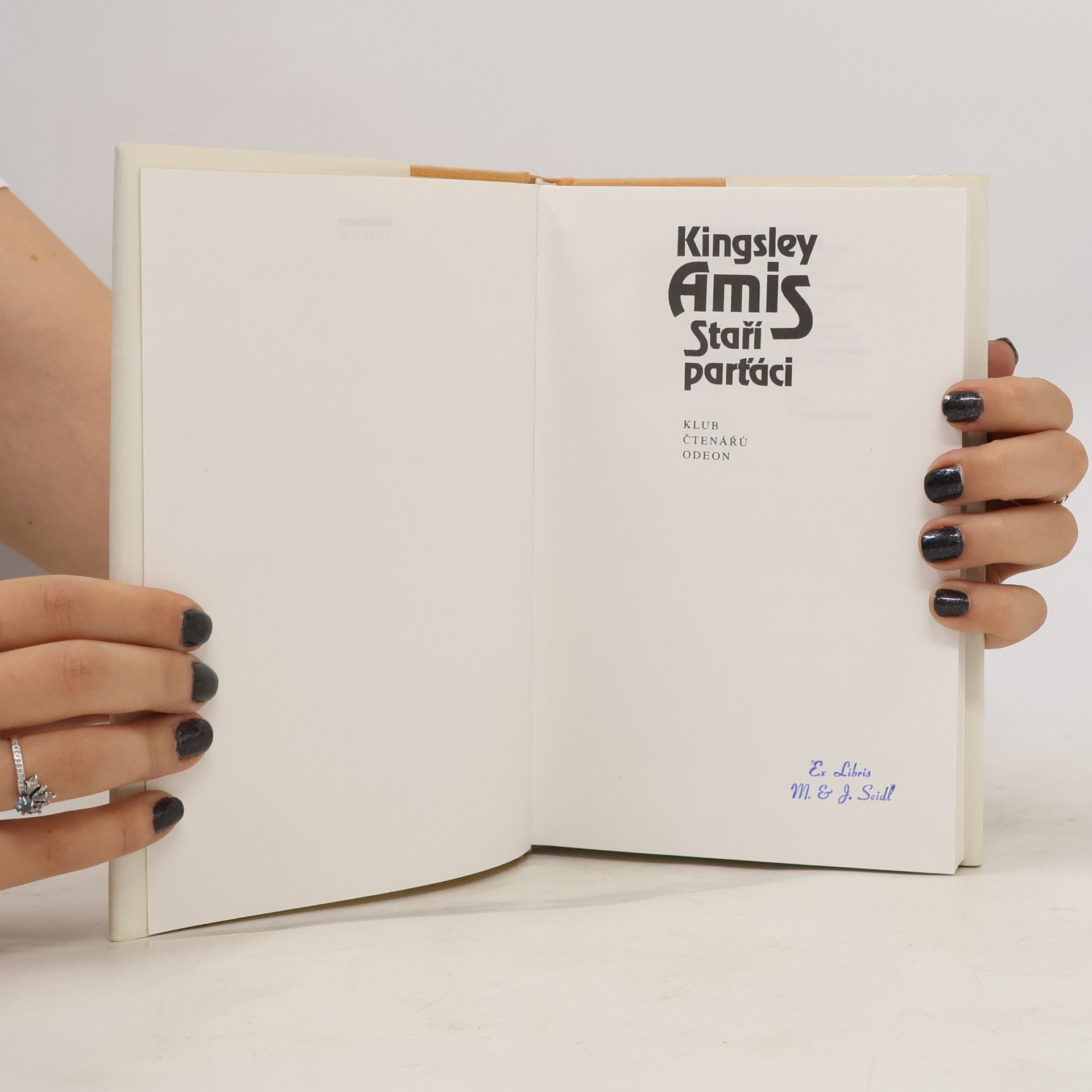 Kingsley Amis Staří parťáci