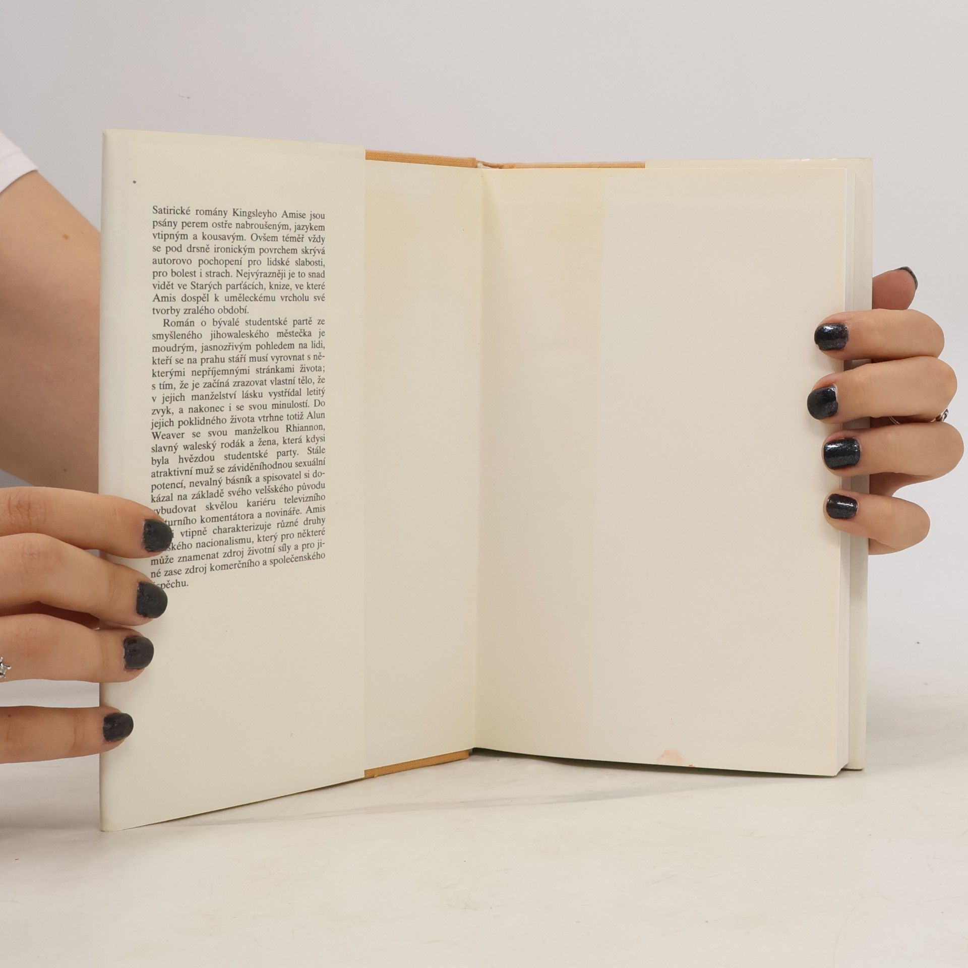 Kingsley Amis Staří parťáci