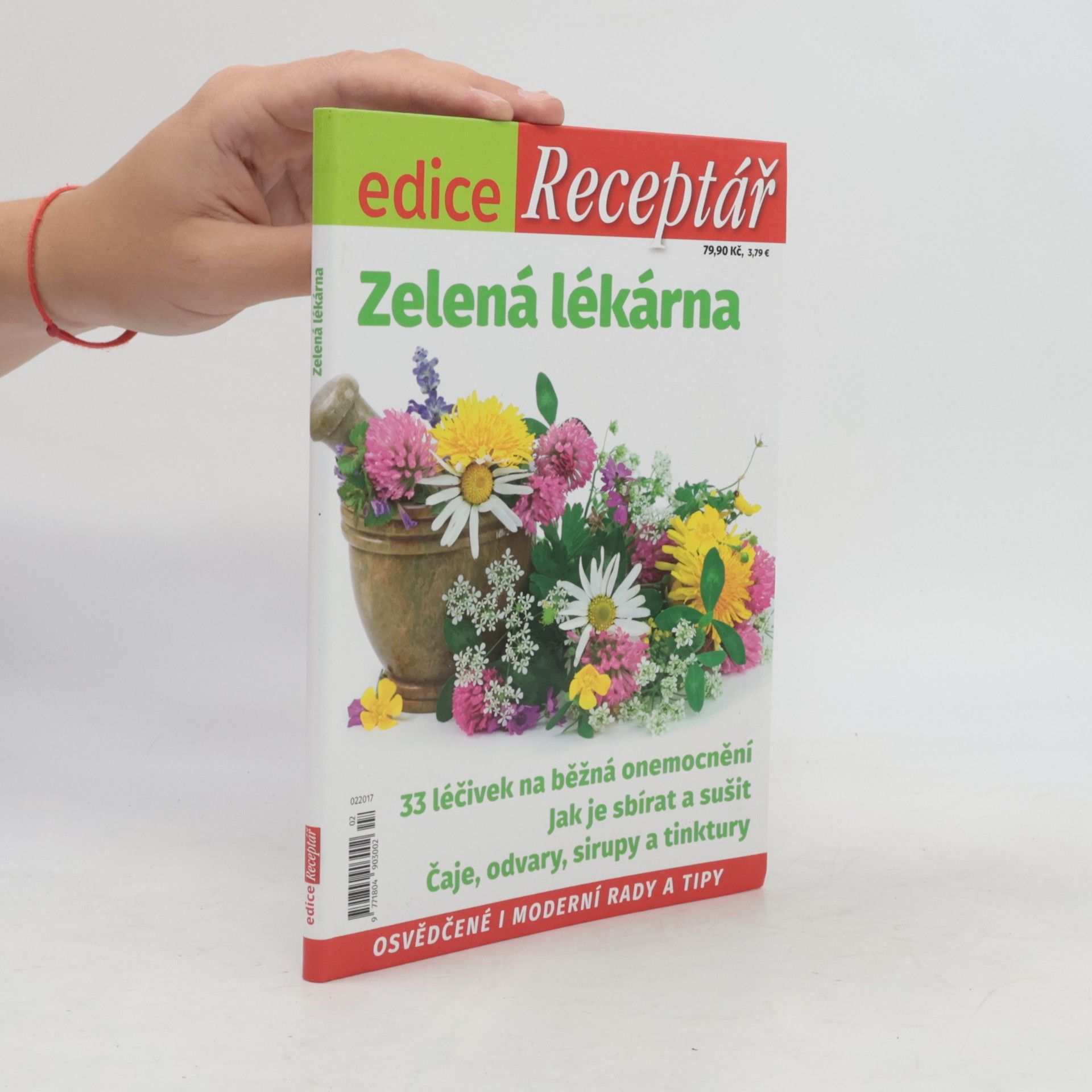 Autorenkollektiv Edice Receptář č.2: Zelená lékárna