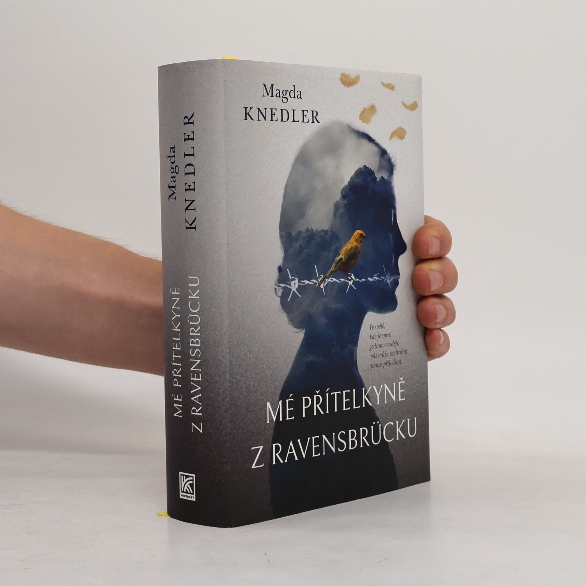 Magdalena Knedler Mé přítelkyně z Ravensbrücku