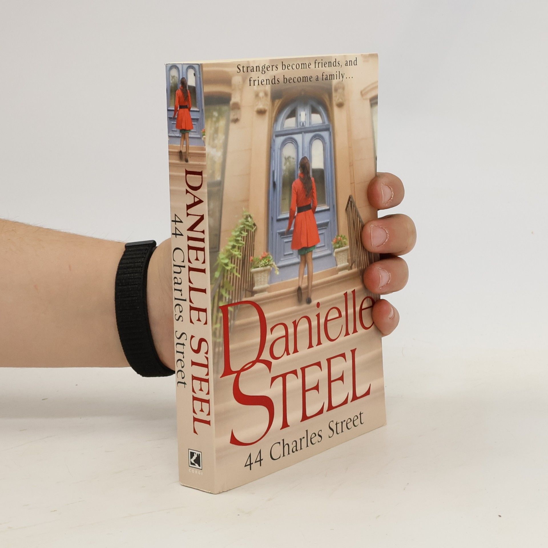 Danielle Steel 44 Charles Street