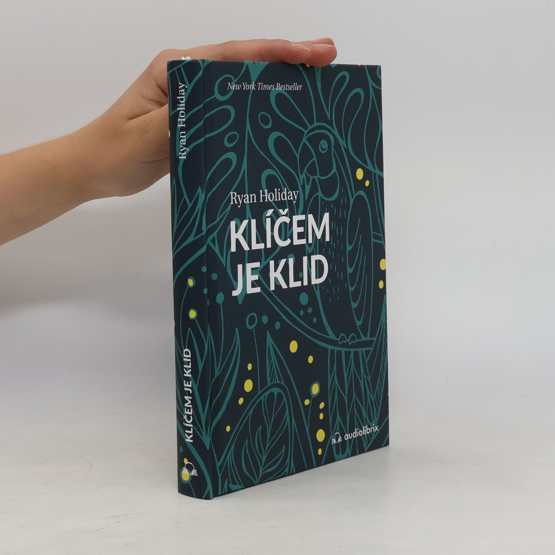 Ryan Holiday Klíčem je klid