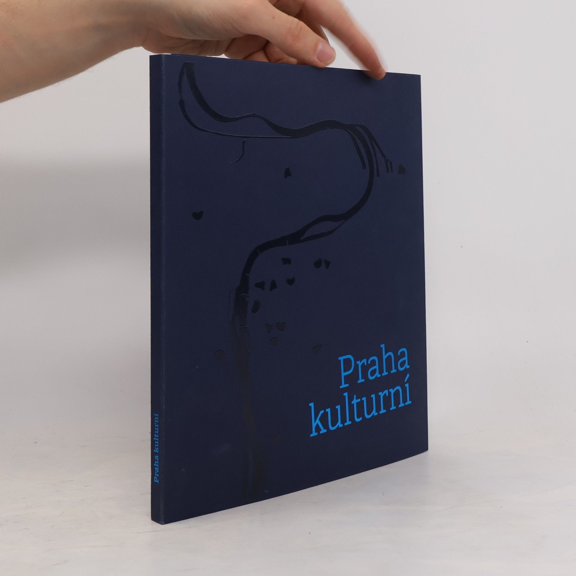Kateřina Opatrná Praha kulturní