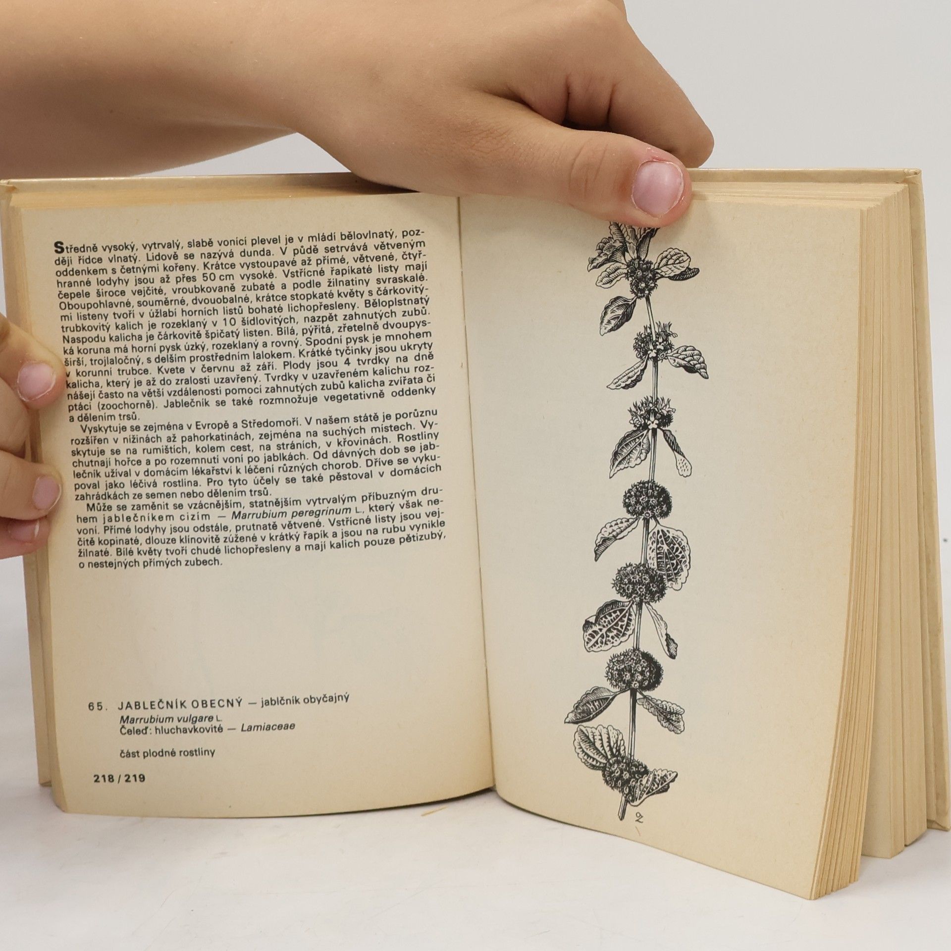 František Hron Kapesní atlas. Rostliny luk, pastvin, vod a bažin