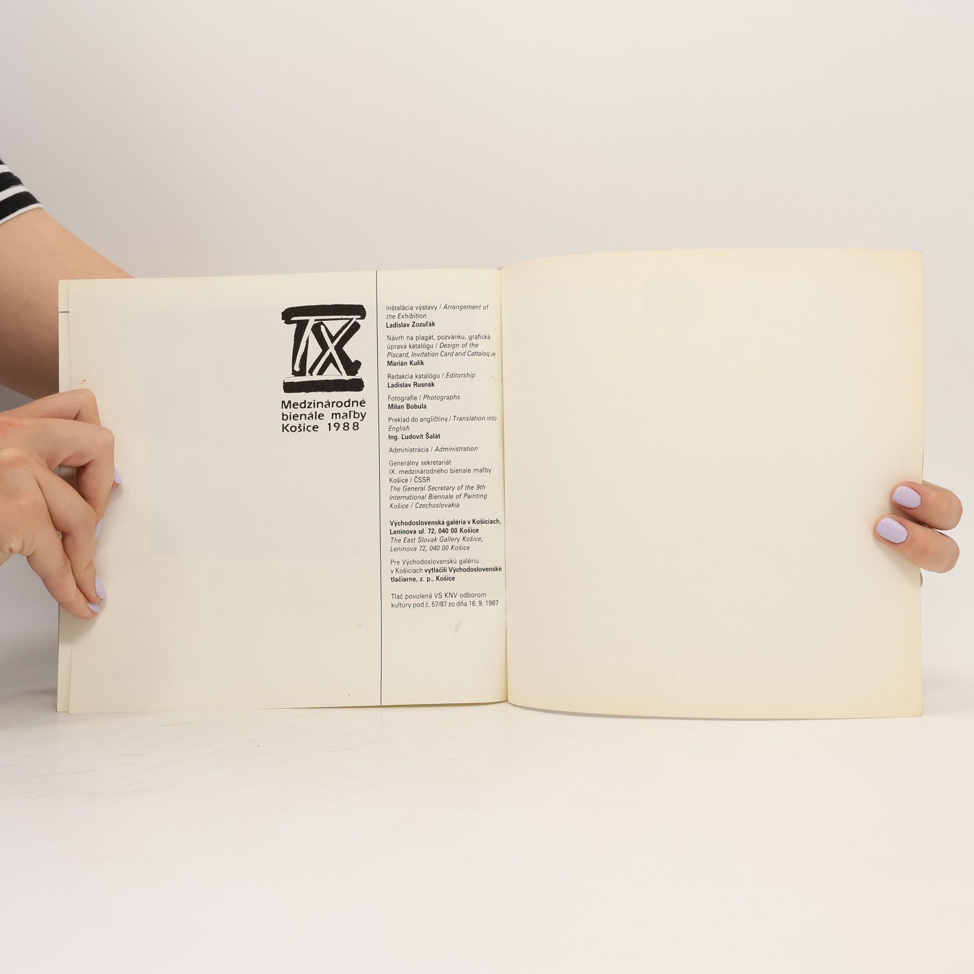 Kolektív autorov Medzinárodné bienále maľby Košice 1988 IX.