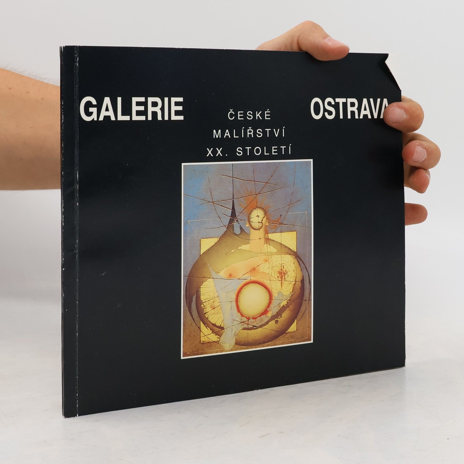 Eva Trnková České malířství XX. století v Galerii výtvarného umění v Ostravě. Část druhá