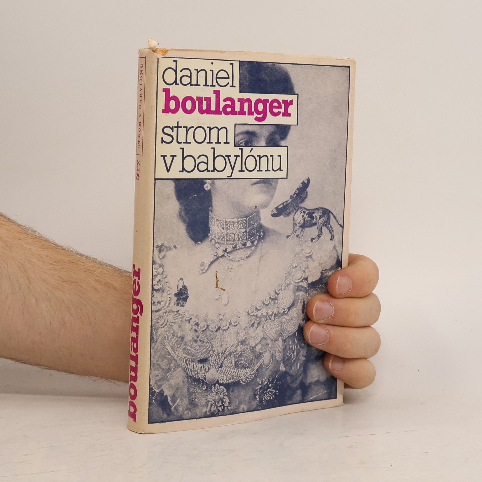 Daniel Boulanger Strom v Babylónu