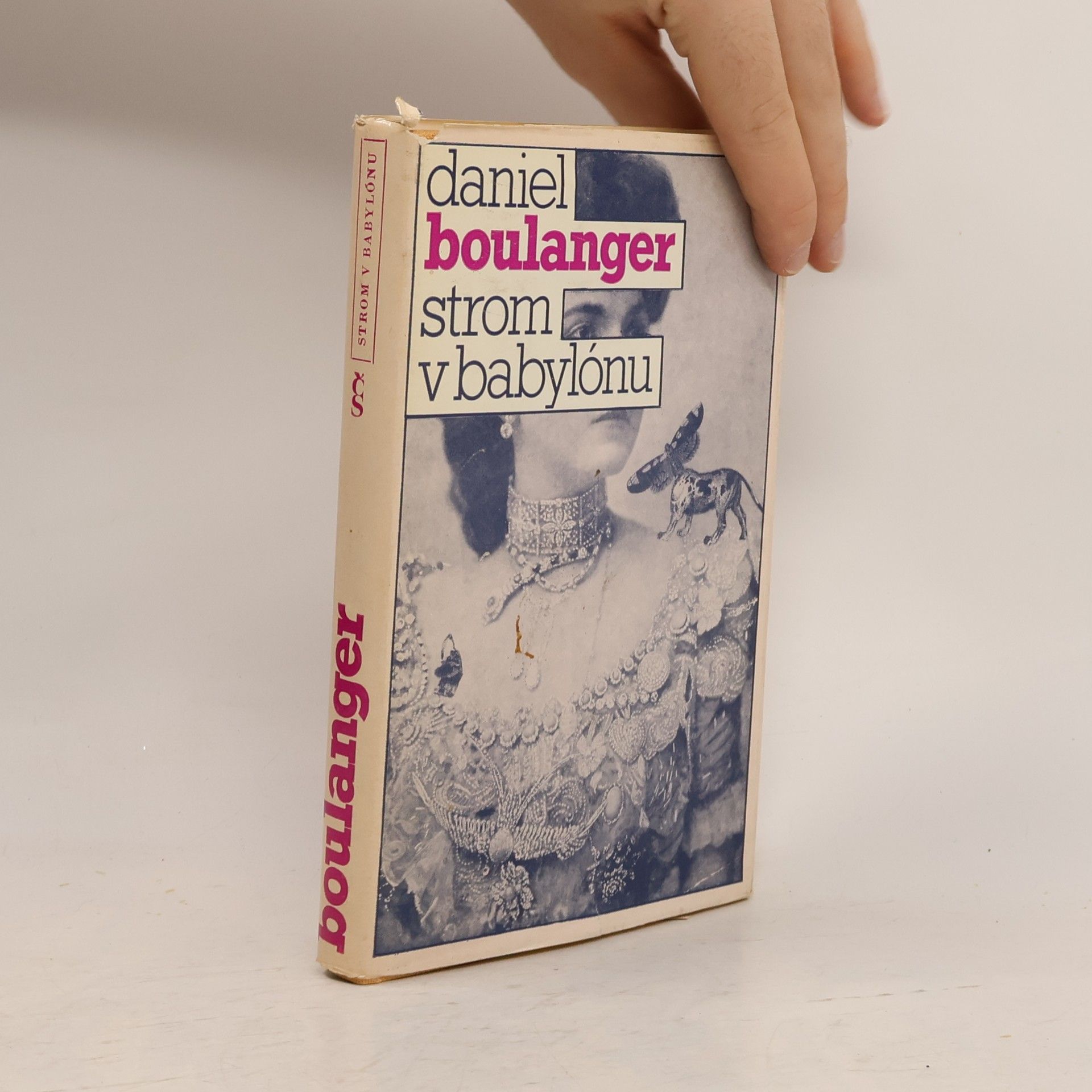 Daniel Boulanger Strom v Babylónu