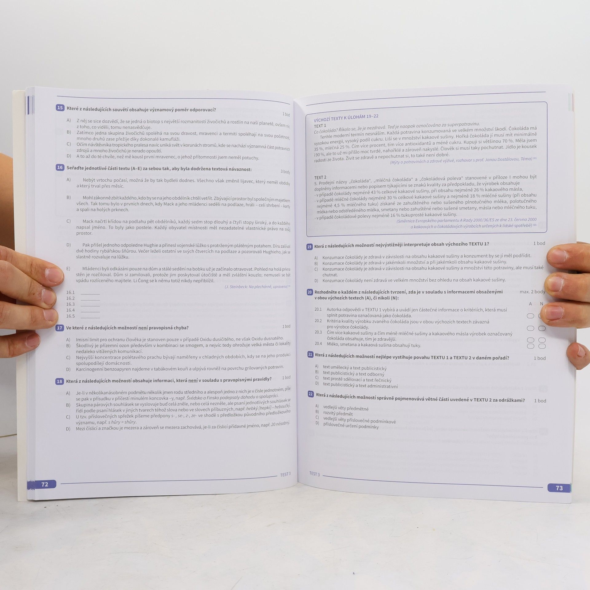 Various authors Maturita v pohodě. Český jazyk a literatura