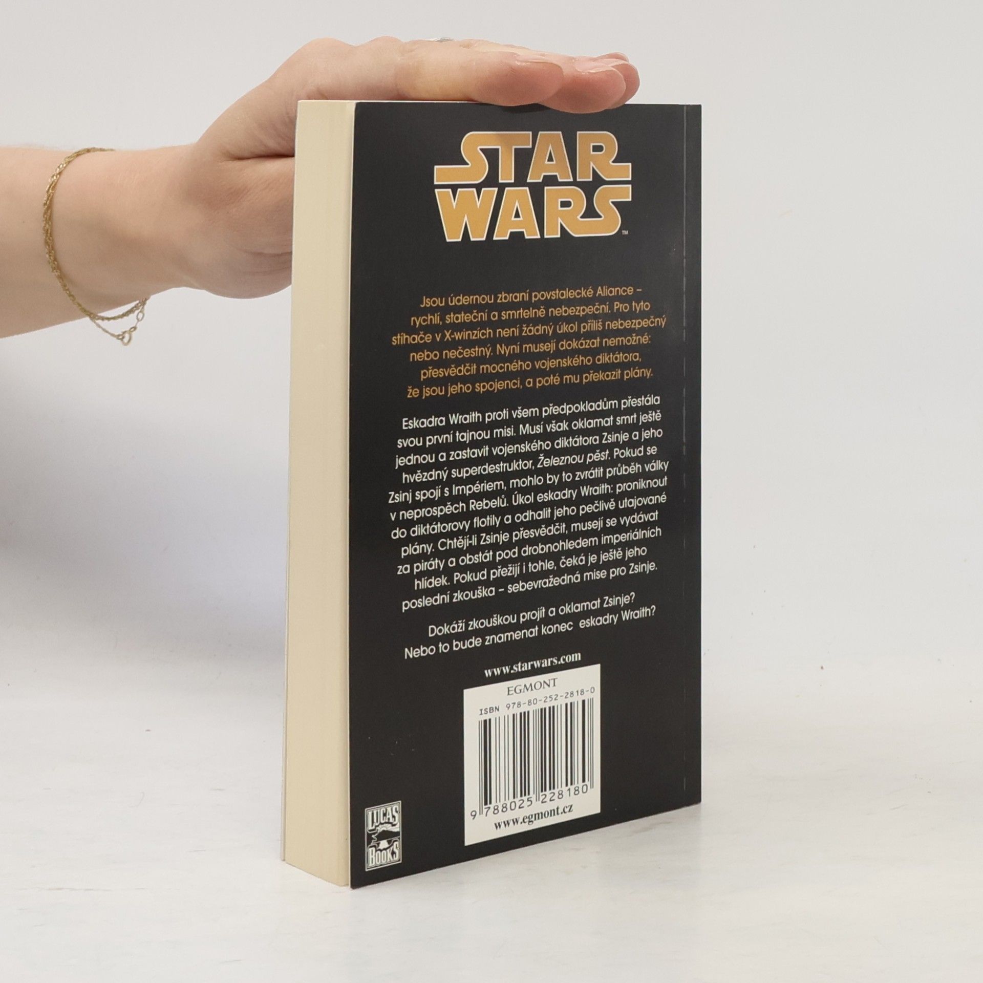 Aaron Allston Star Wars: X-Wing. Kniha šestá, Železná pěst