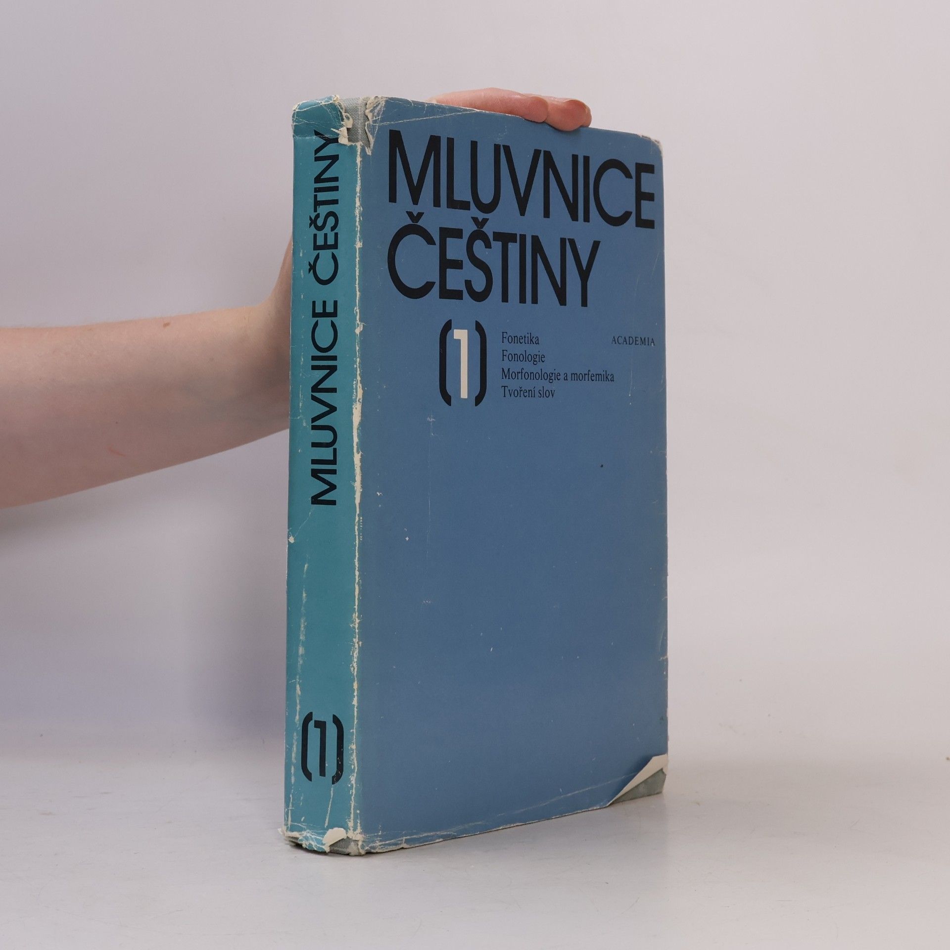 Autorenkollektiv Mluvnice češtiny. Díl 1.