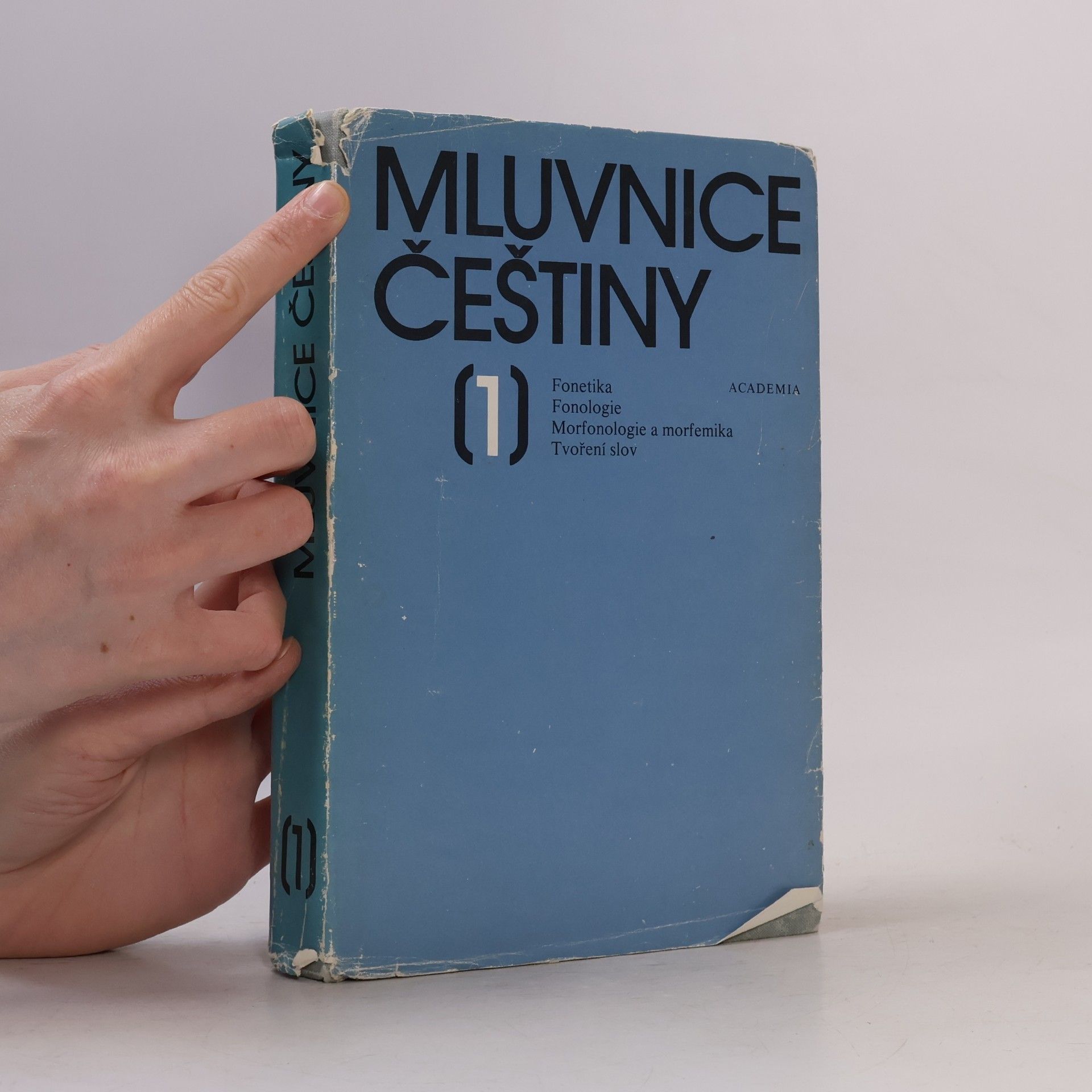 Autorenkollektiv Mluvnice češtiny. Díl 1.
