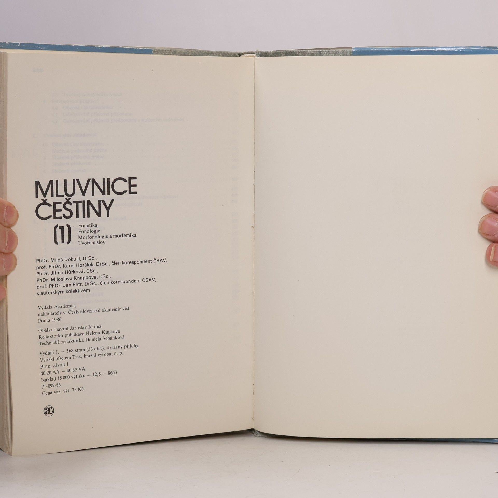 Autorenkollektiv Mluvnice češtiny. Díl 1.