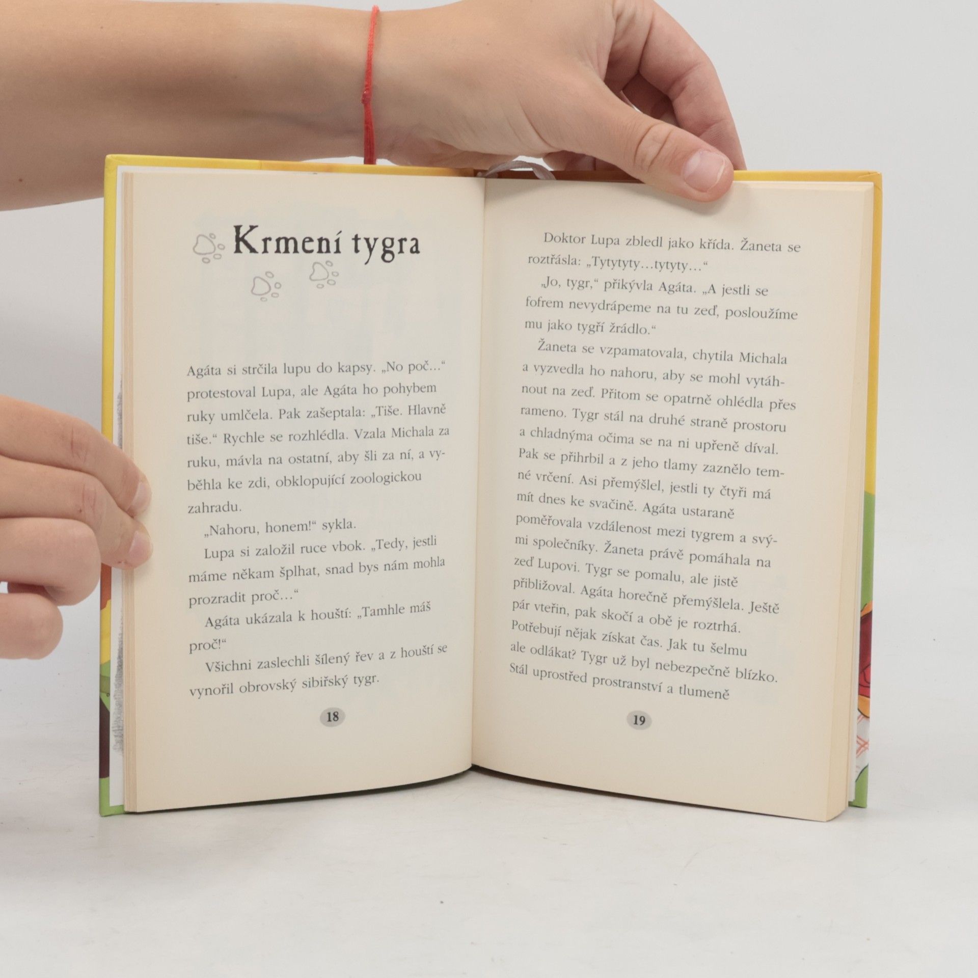 Gerit Kopietz Nebezpečný tygr