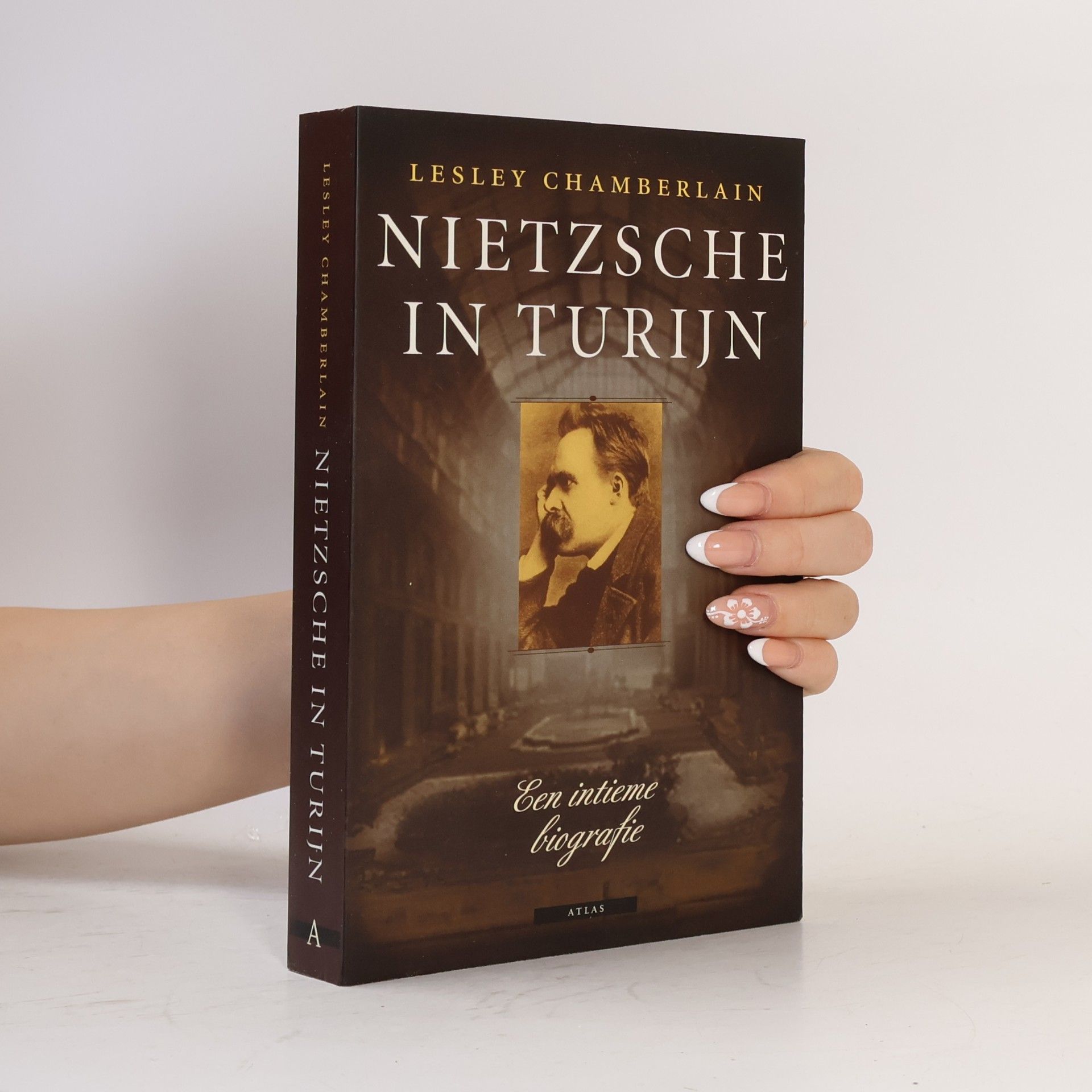 Lesley Chamberlain Nietzsche in Turijn