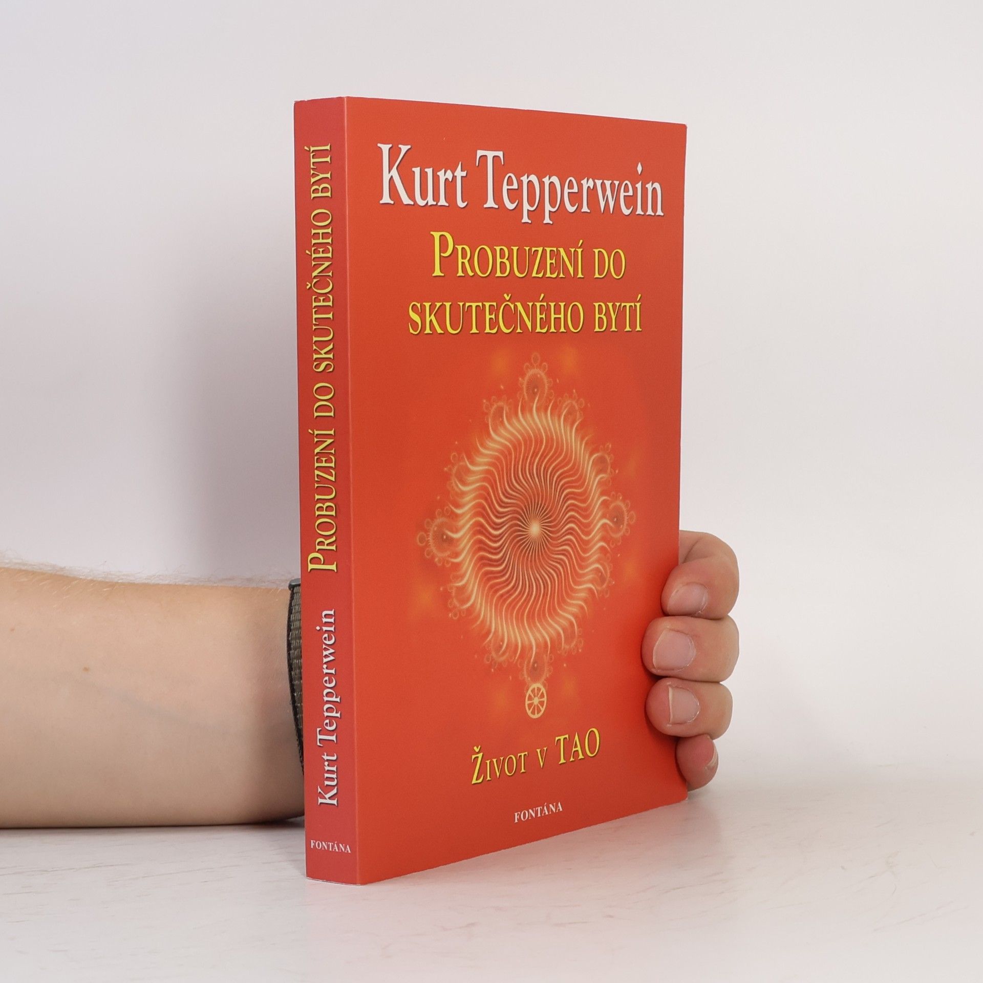 Kurt Tepperwein Probuzení do skutečného bytí
