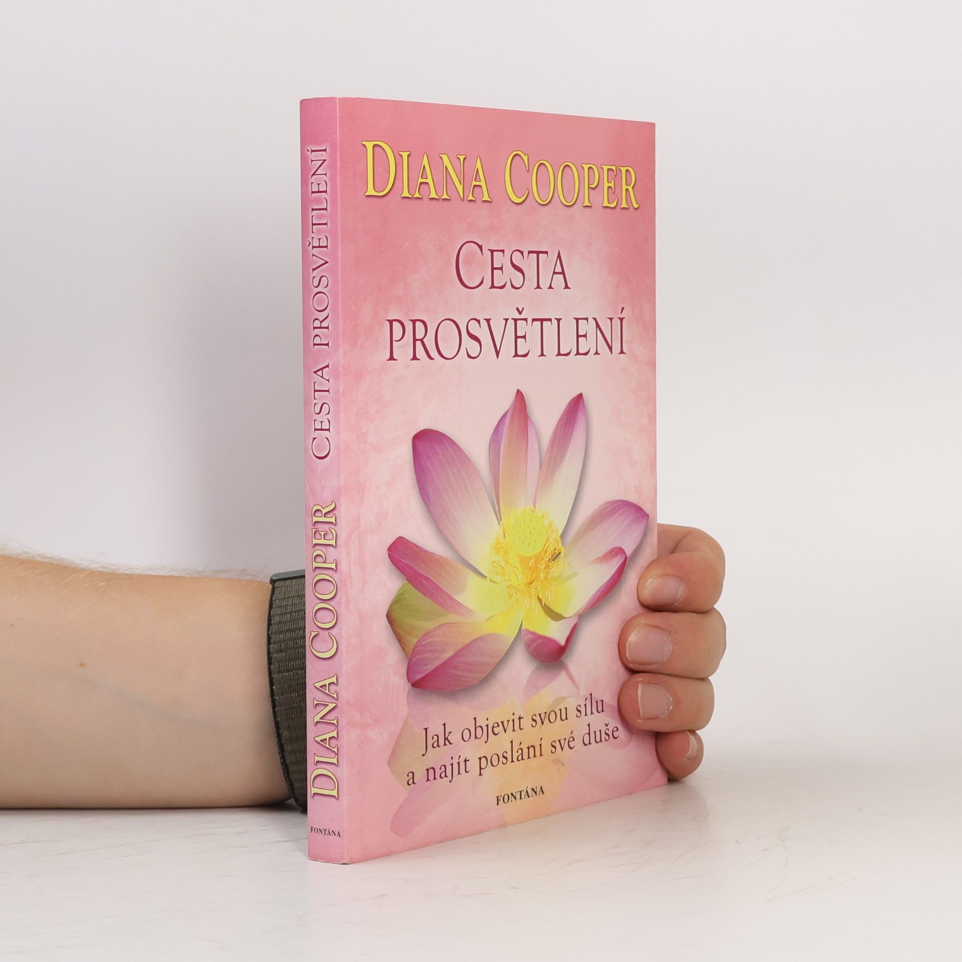 Diana Cooper Cesta prosvětlení : jak objevit svou sílu a najít poslání své duše