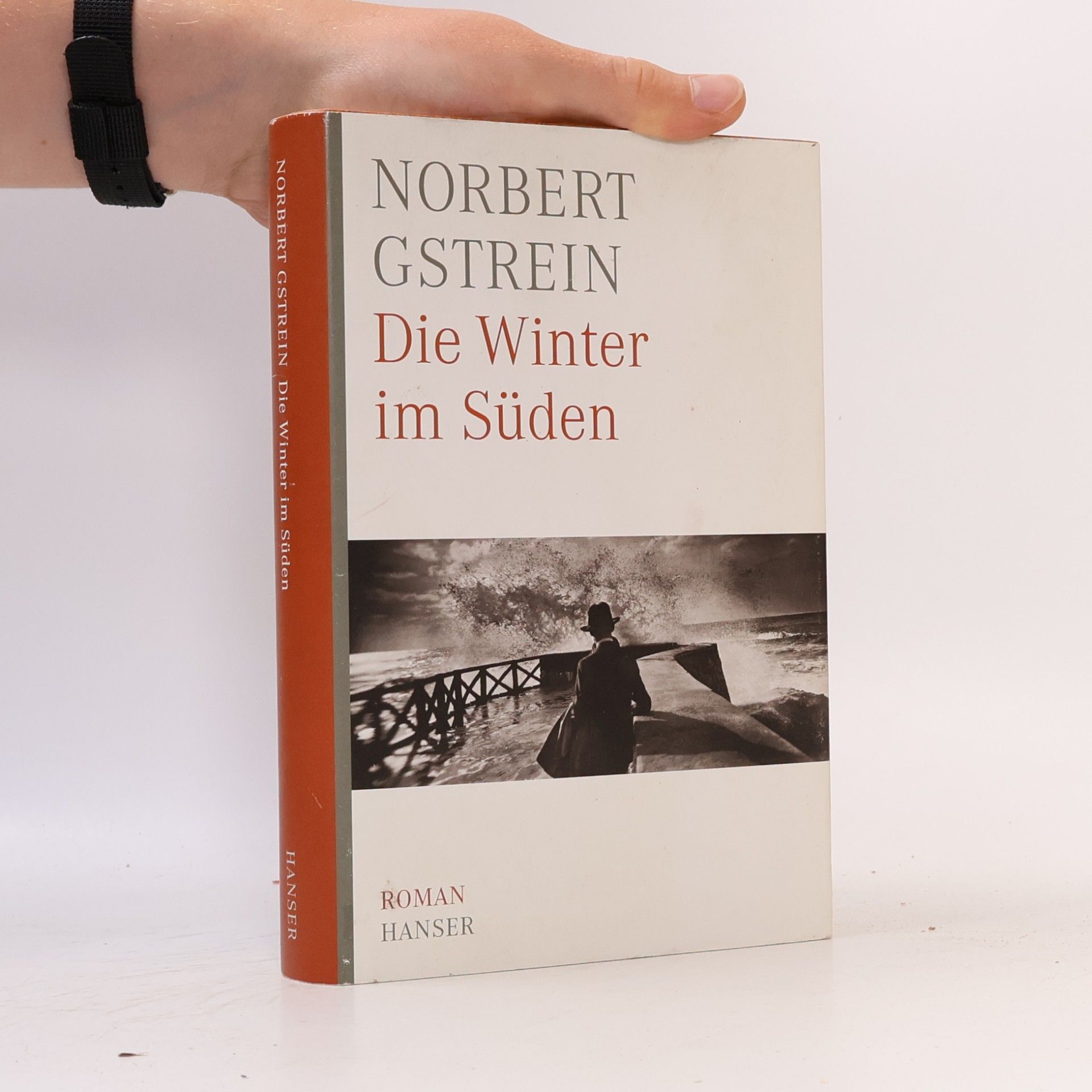 Norbert Gstrein Die Winter im Süden