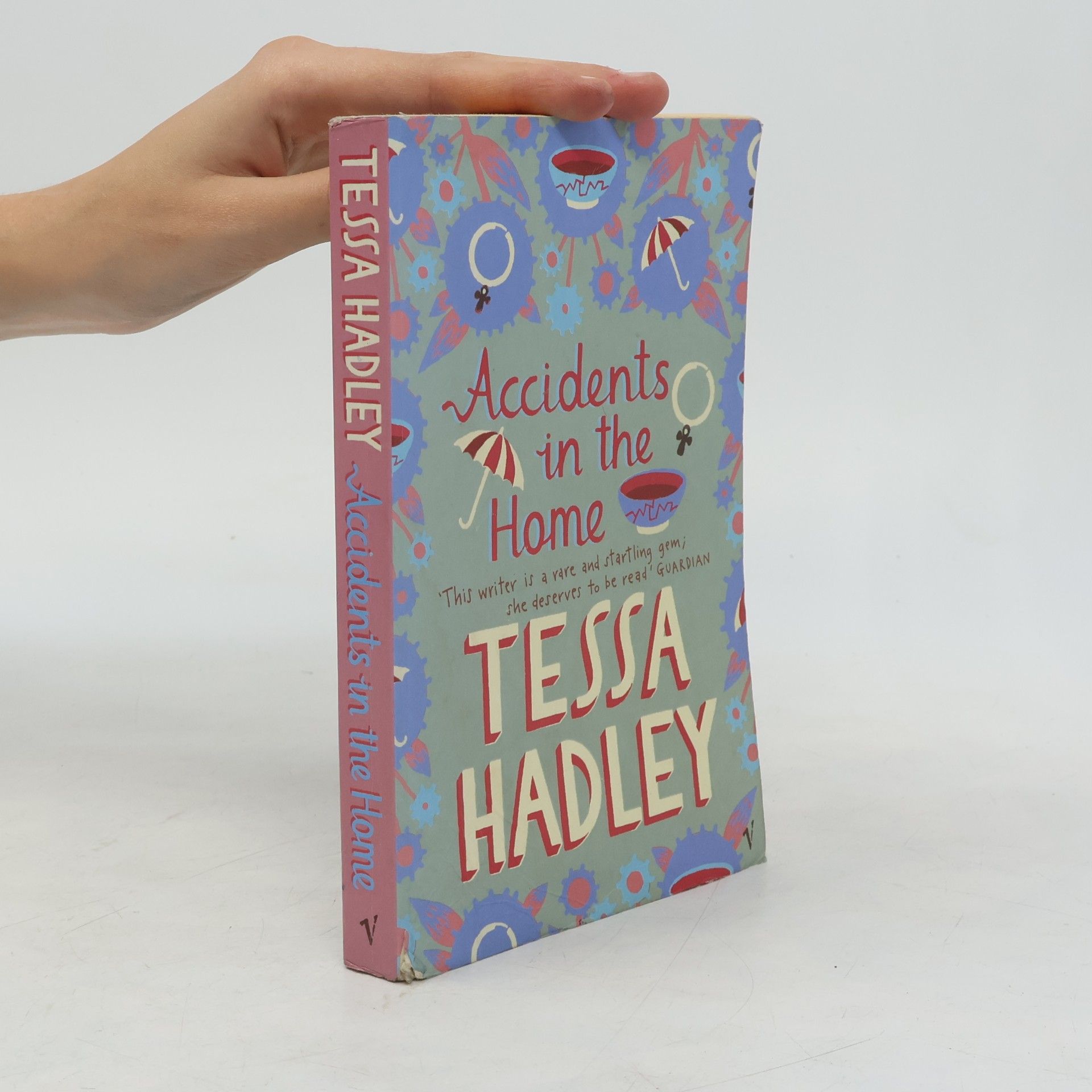 Tessa Hadley Accidents in the home