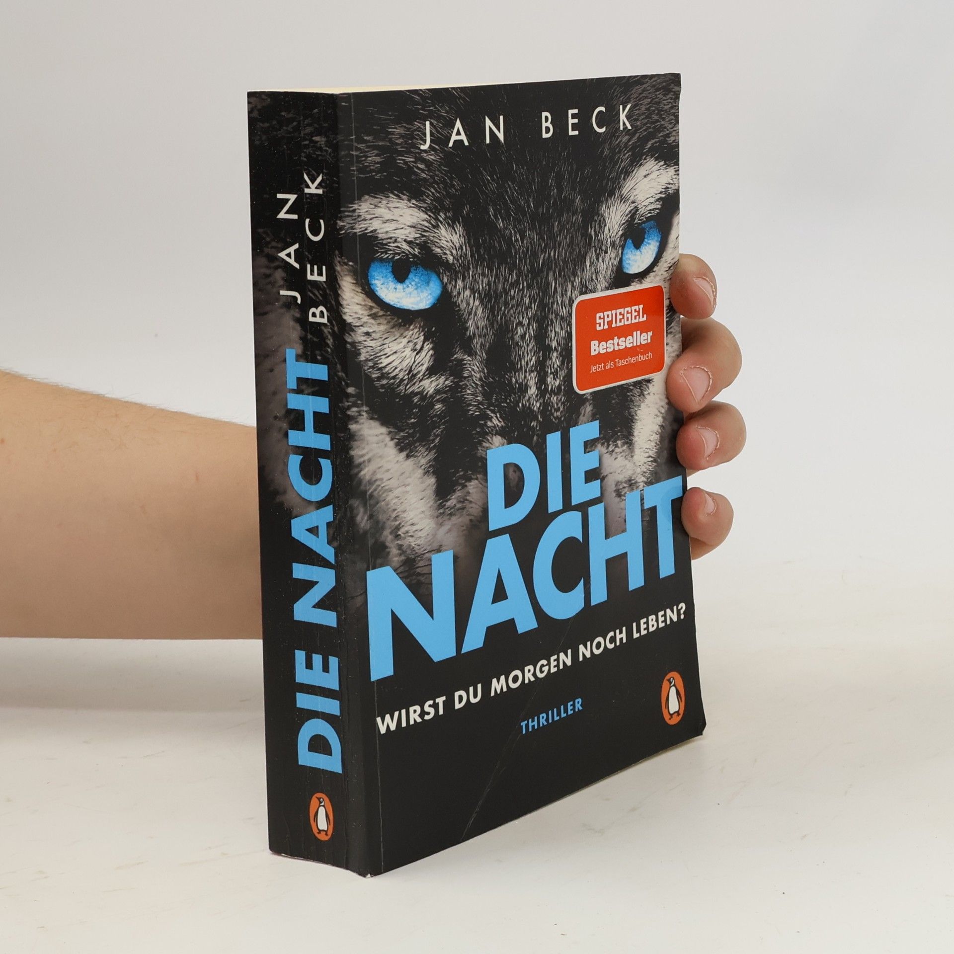 Jan Beck Die Nacht. Wirst du morgen noch leben?