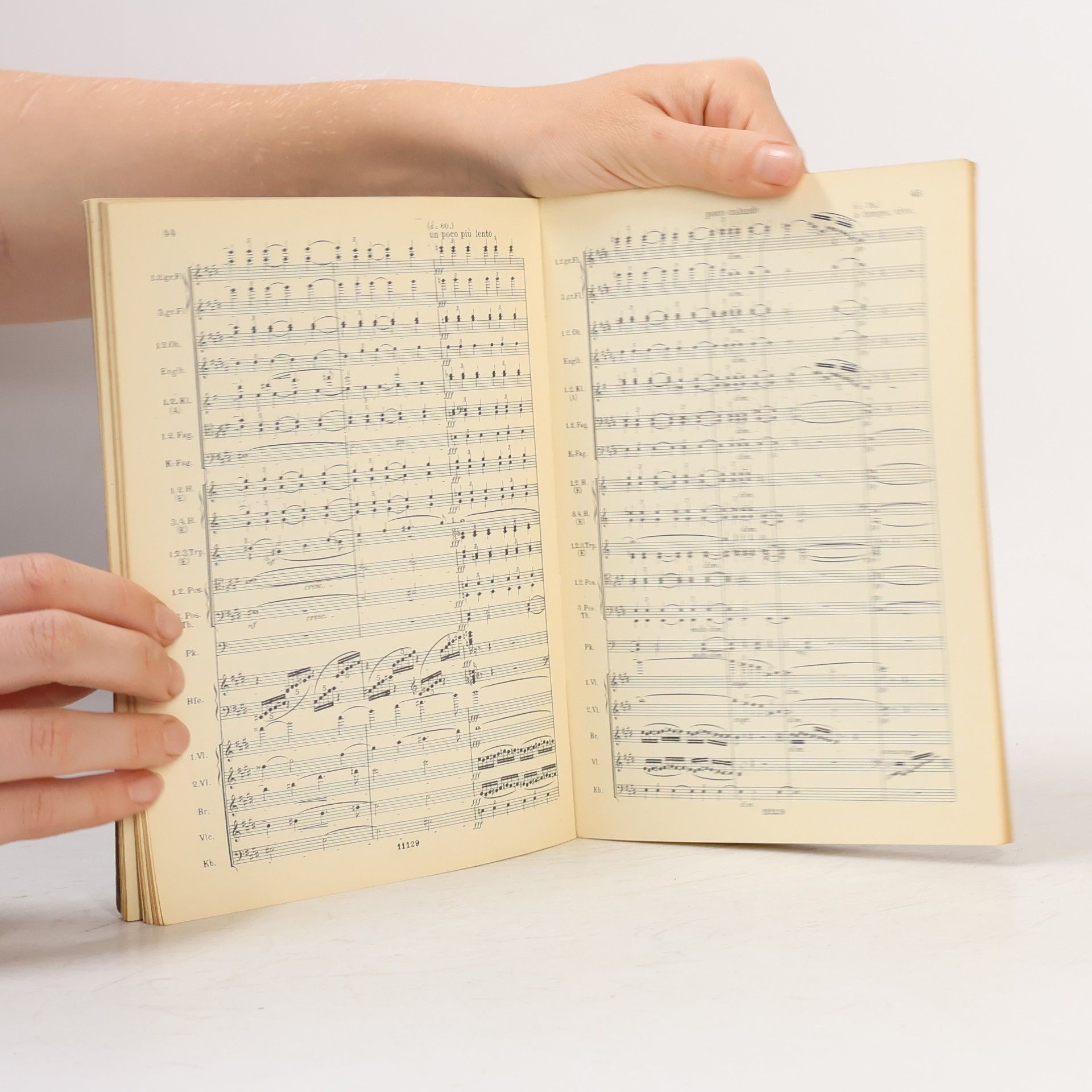 R. Strauss Don Juan, op 20
