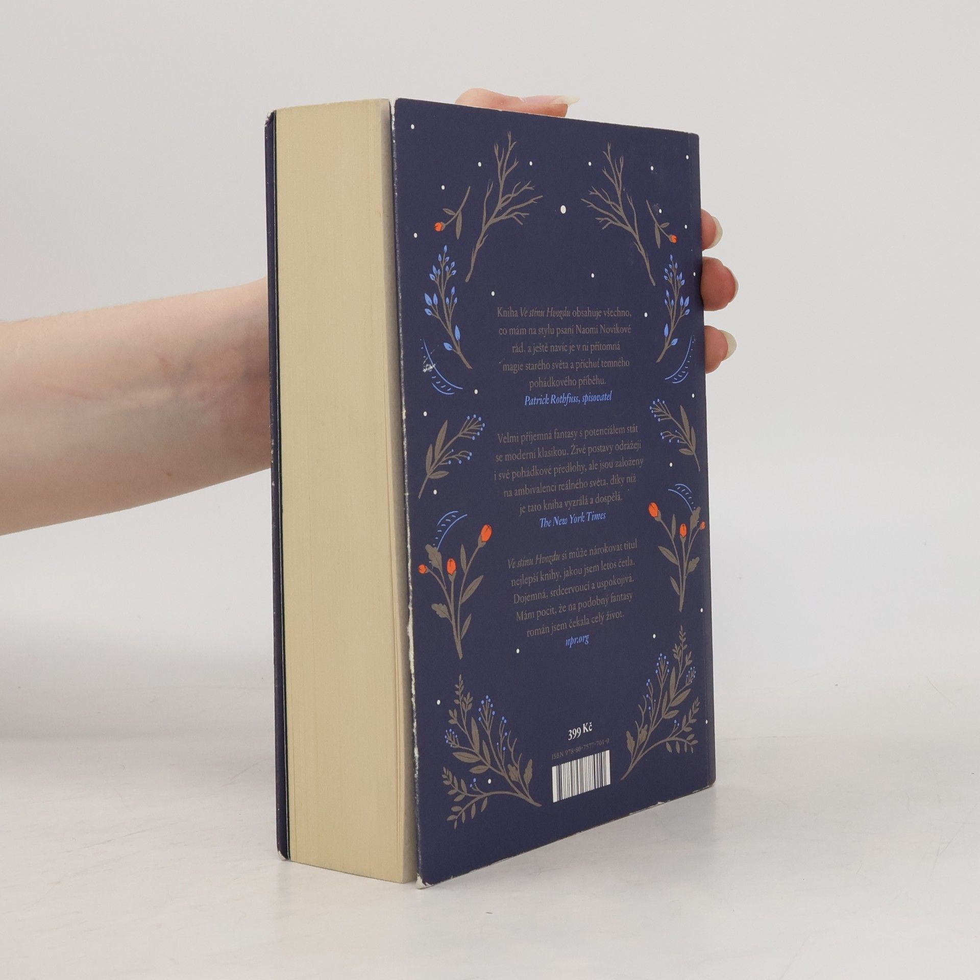 Naomi Novik Ve stínu Hvozdu