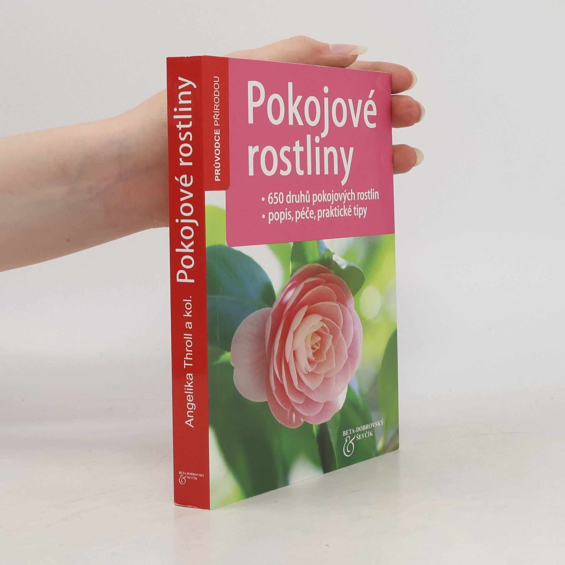 Angelika Throll Pokojové rostliny