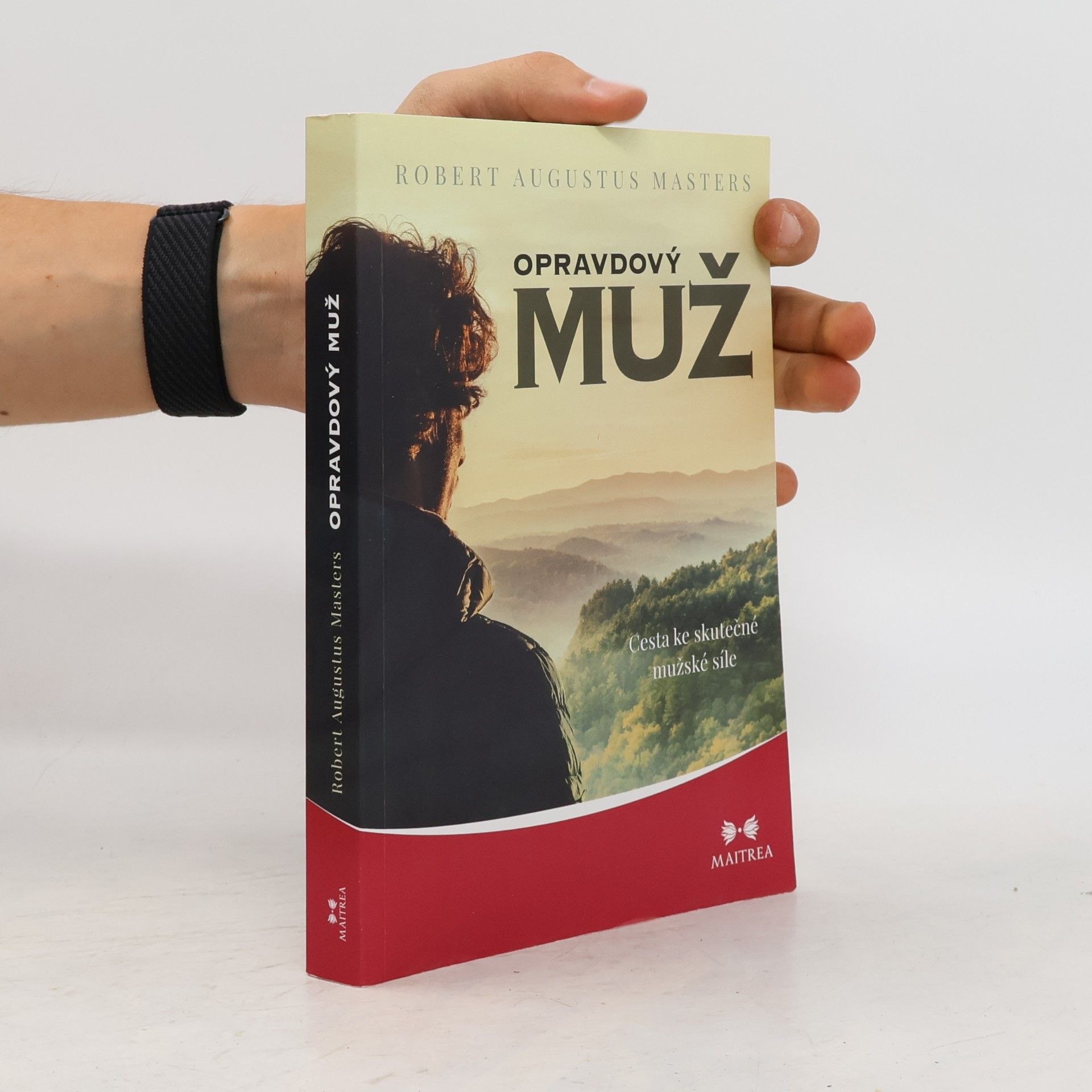 E. L. Masters, Robert Opravdový muž - Cesta ke skutečné mužské síle