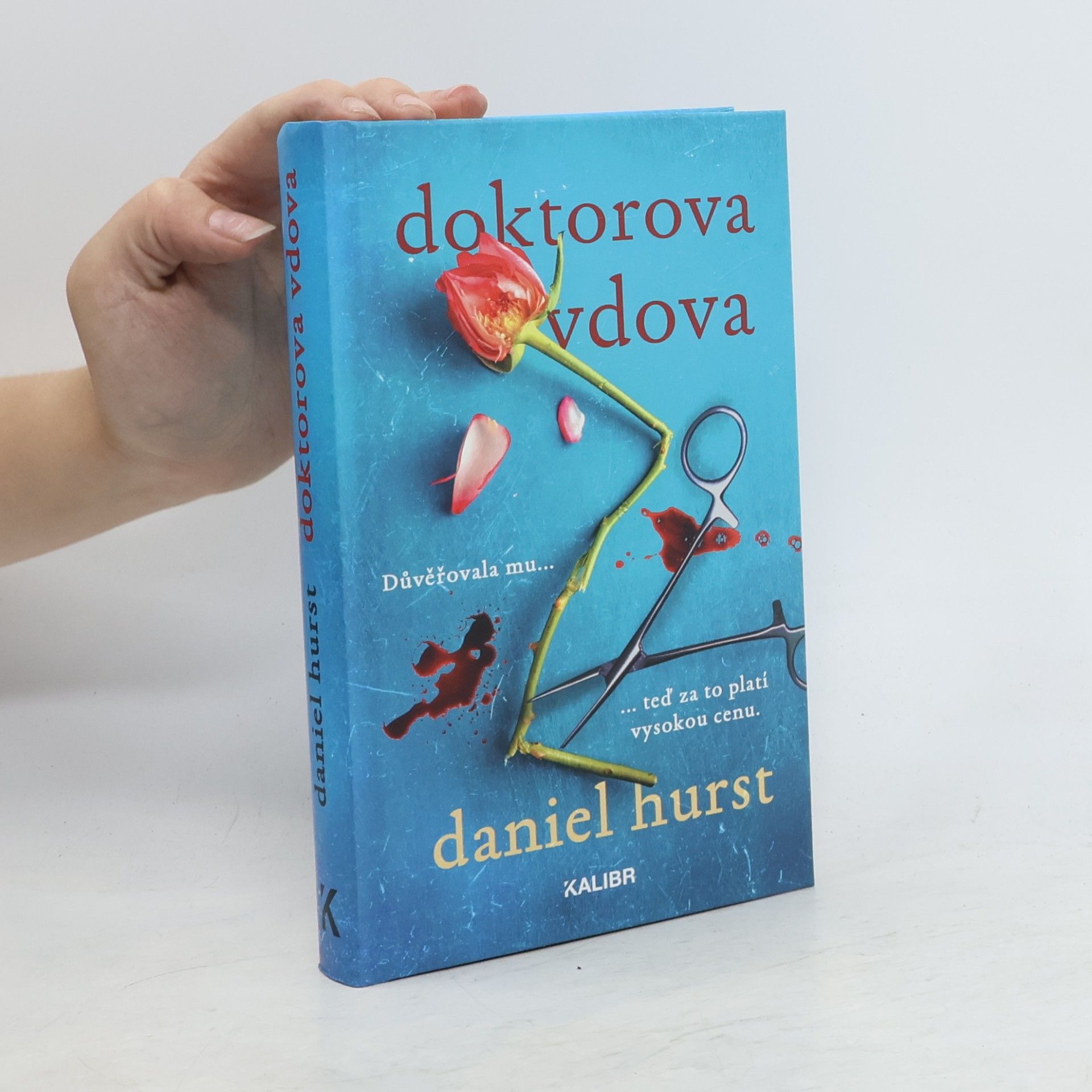 Daniel Hürst Doktorova vdova