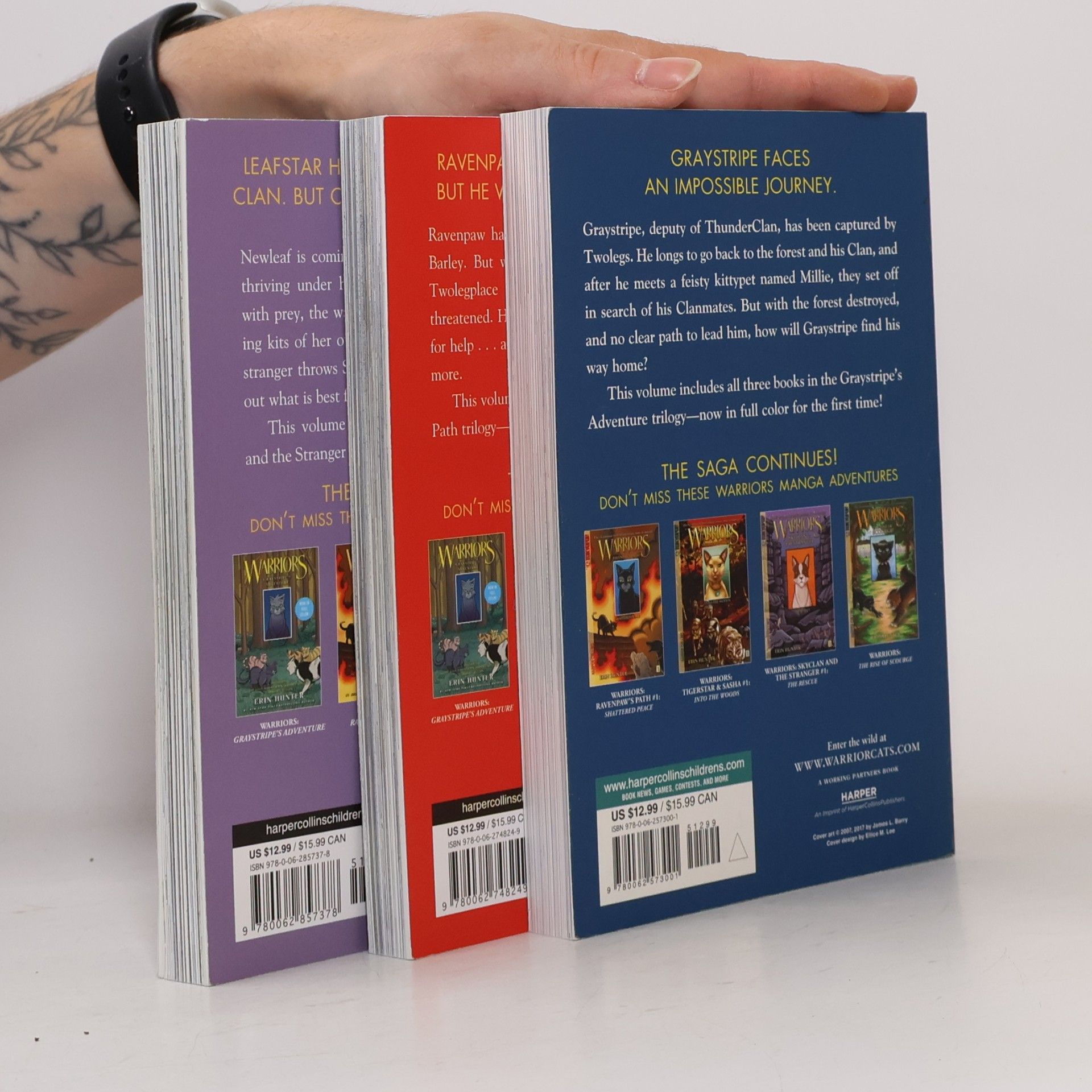 Erin Hunter Warriors Manga 3-Book Full-Color Box Set