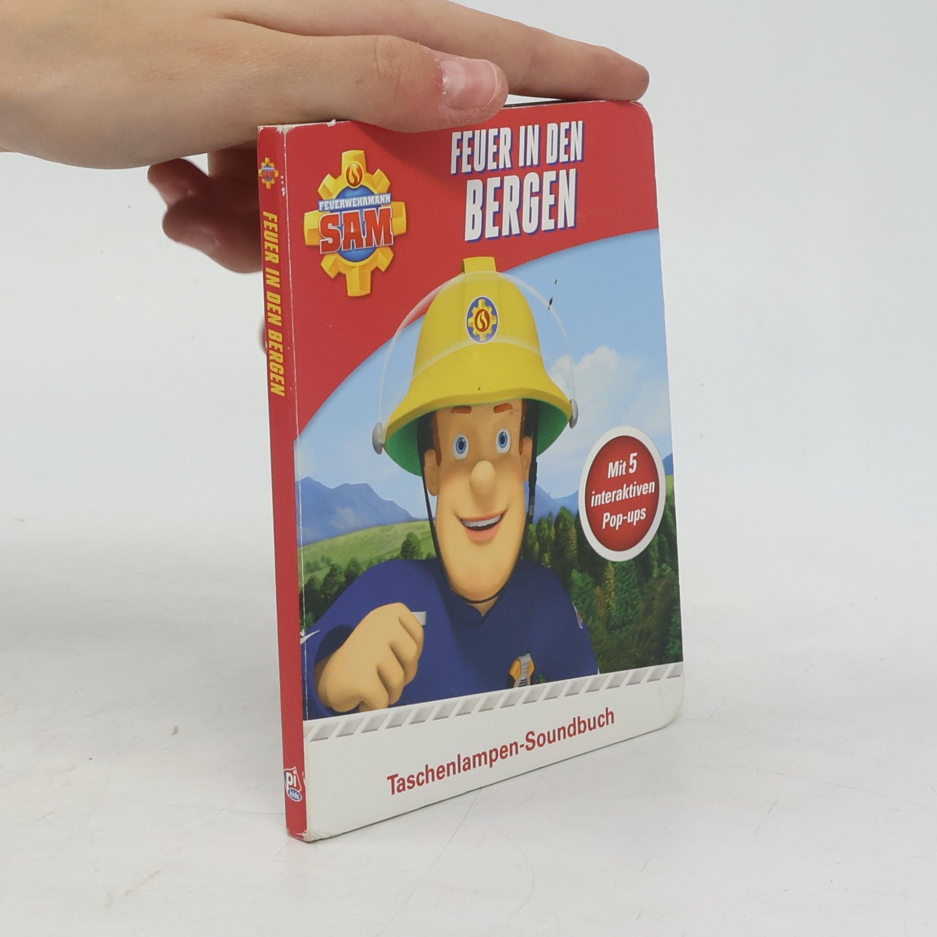 Autorenkollektiv Feuer in den Bergen